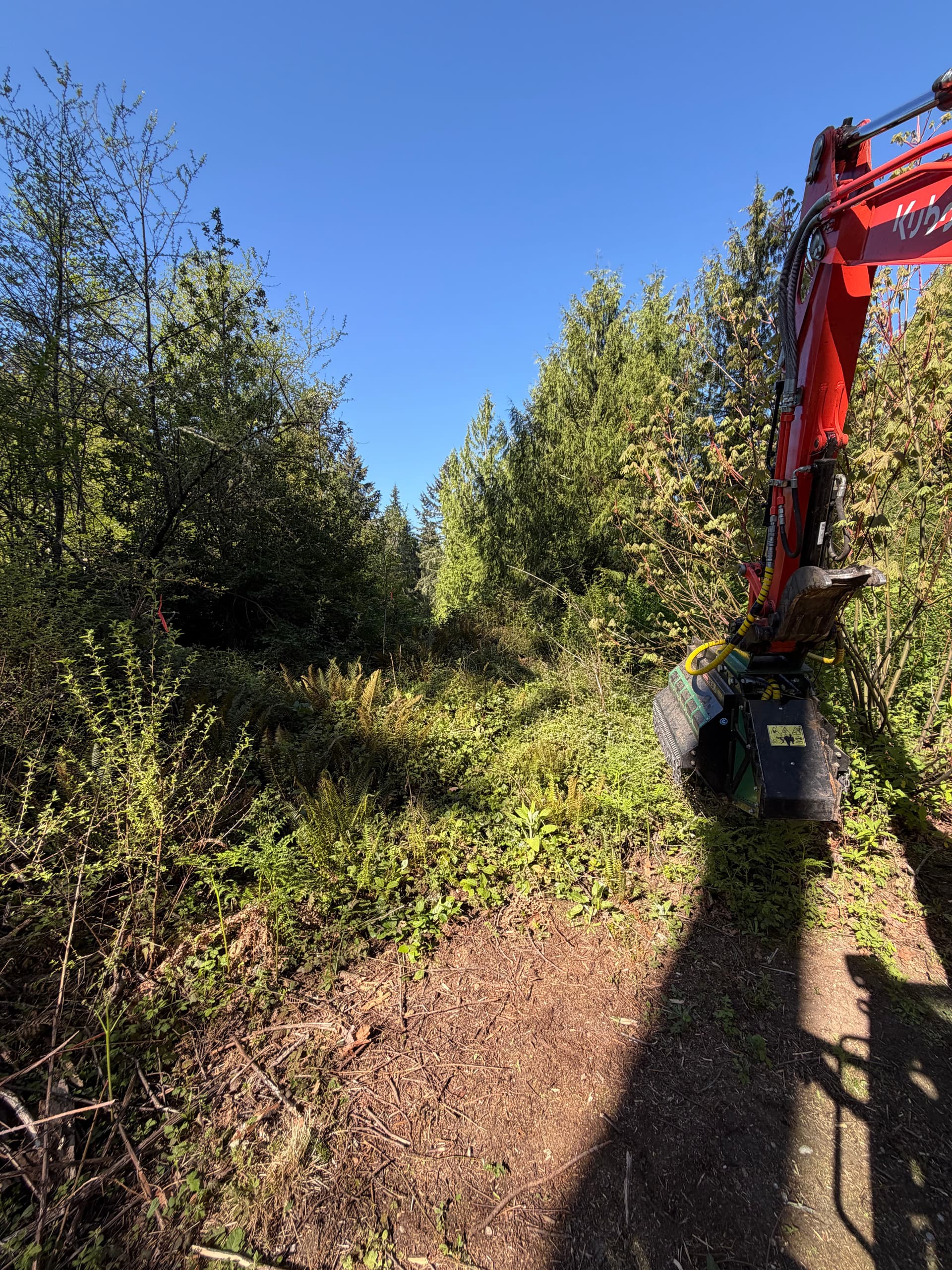 Gallery photos for Overgrown Poulsbo Property Cleared Into Clean Usable Land: Image #5