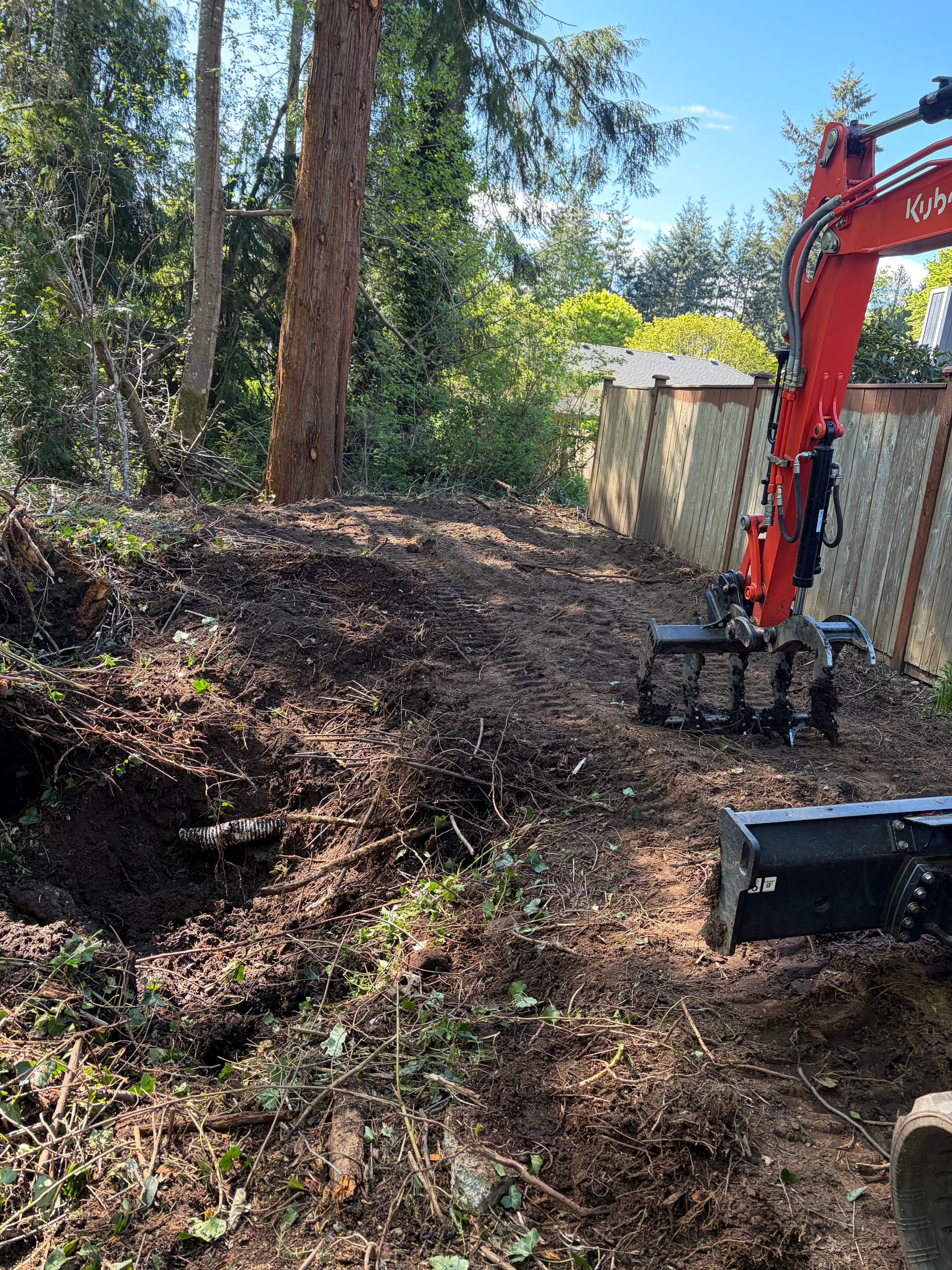 Gallery photos for Backyard Overgrowth Clearing and Space Expansion in Gig Harbor: Image #4