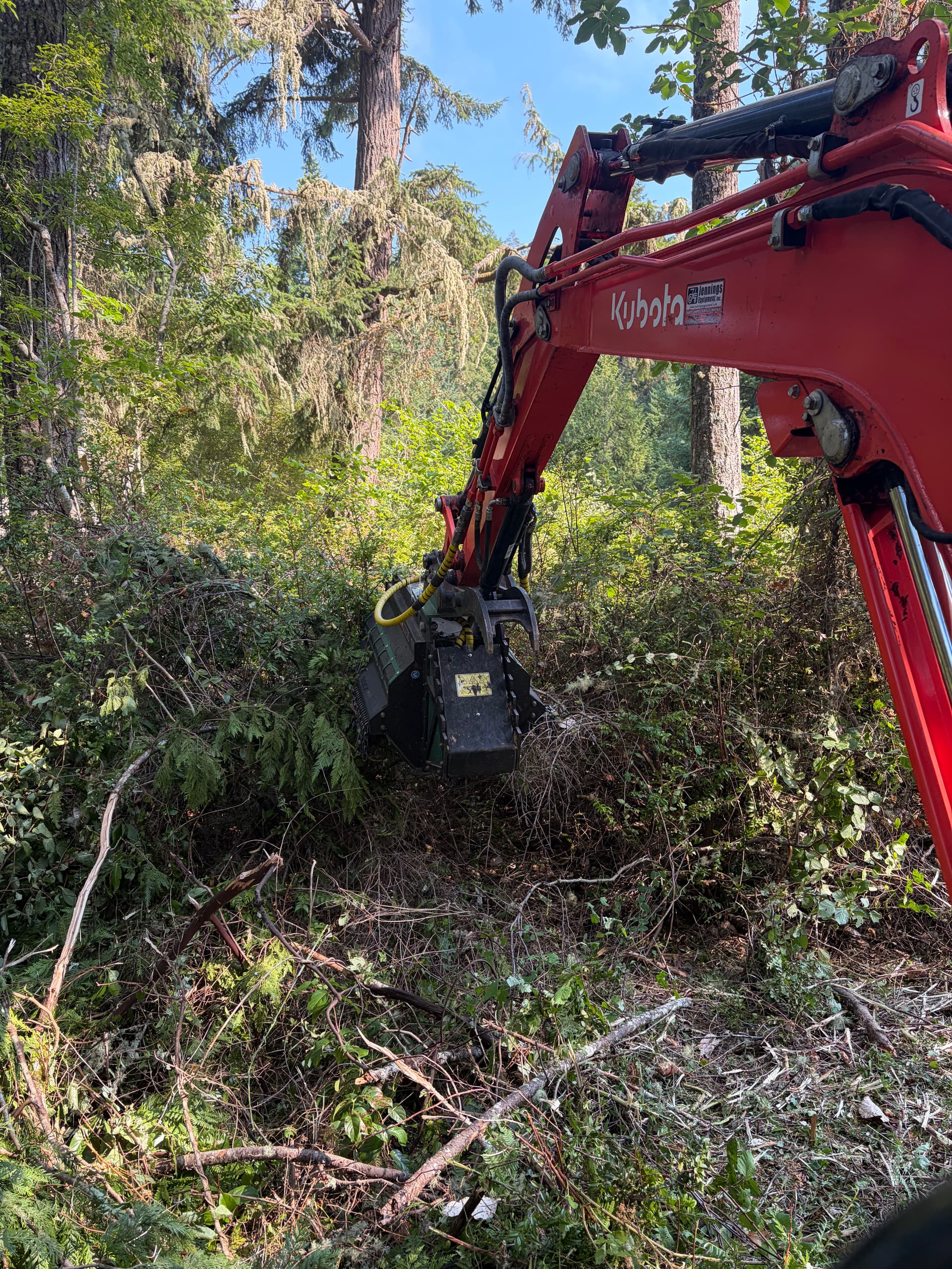Overgrown Lot Cleared and Ready in Longbranch WA image