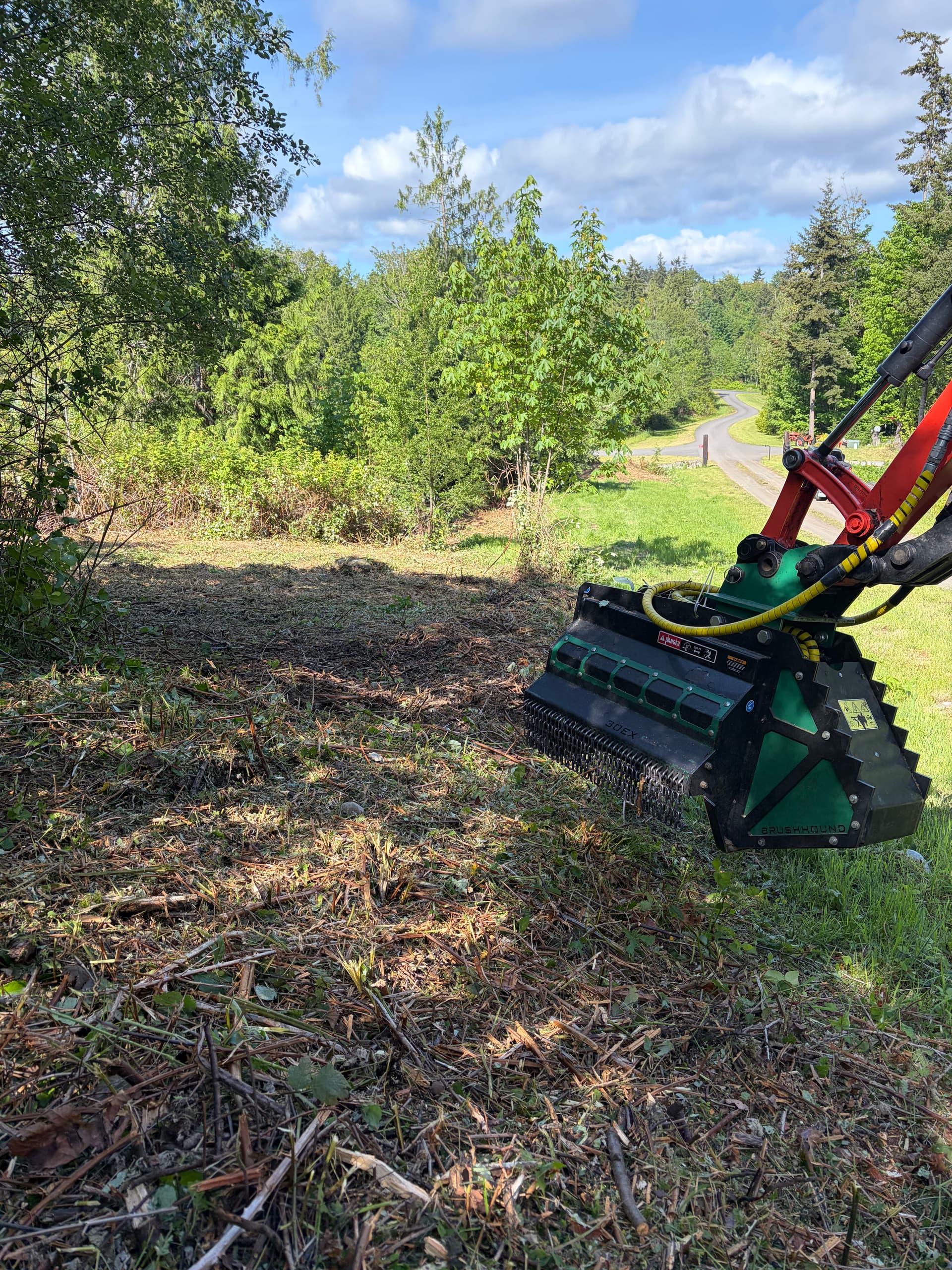 Gallery photos for Blackberry Bramble Cleared Away from an Access Road in Pt. Hadlock: Image #3