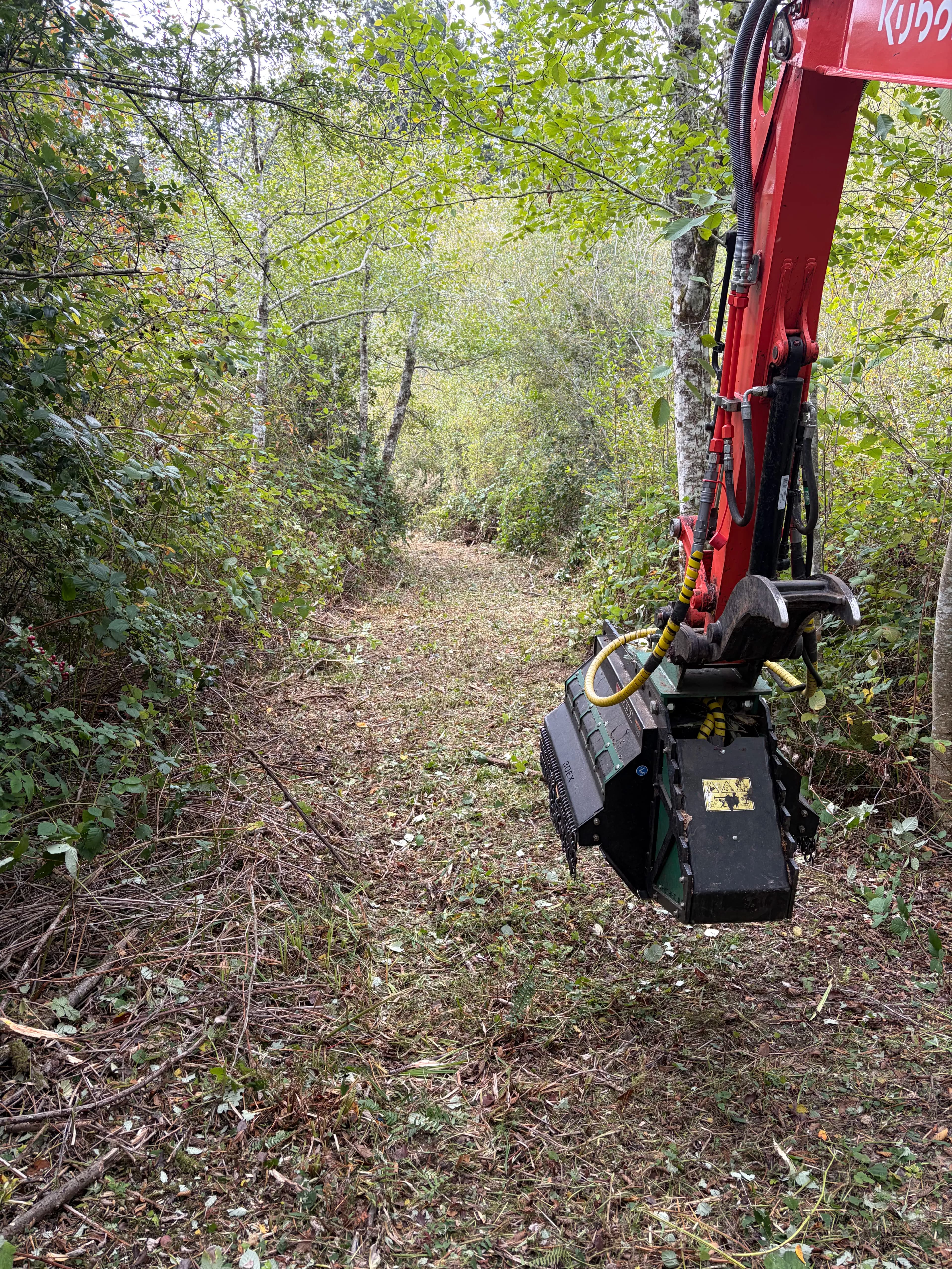 Project Brush Clearing and Trail Cutting on an Olalla Property image