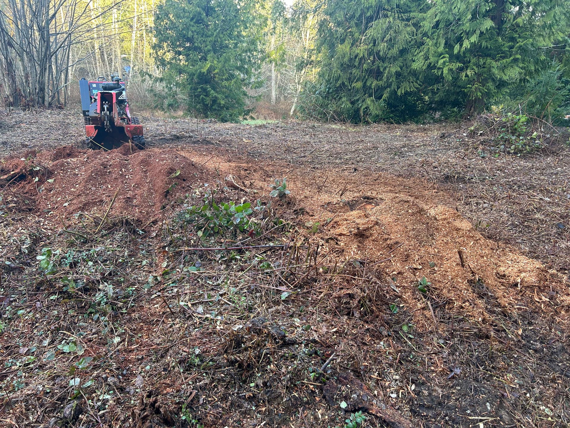 Gallery photos for Turning Stubborn Stumps into Clear Land in Pt. Orchard: Image #2