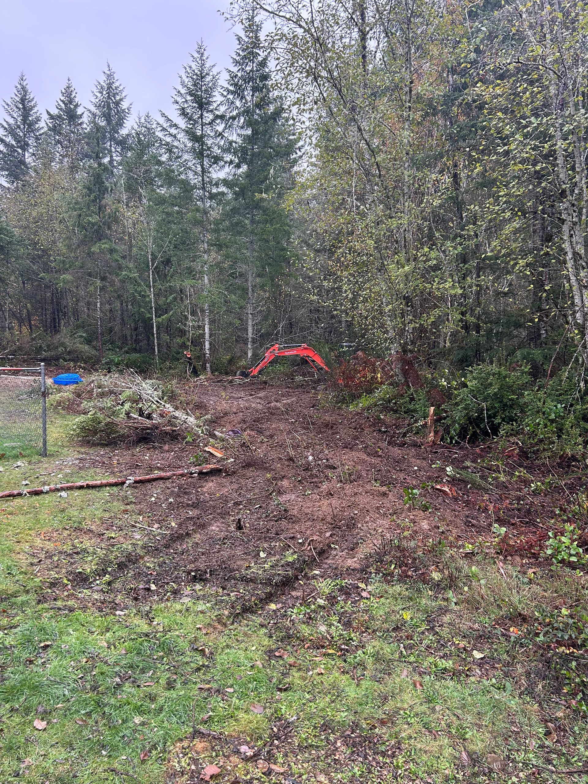 Backyard Brush Clearing in Seabeck WA