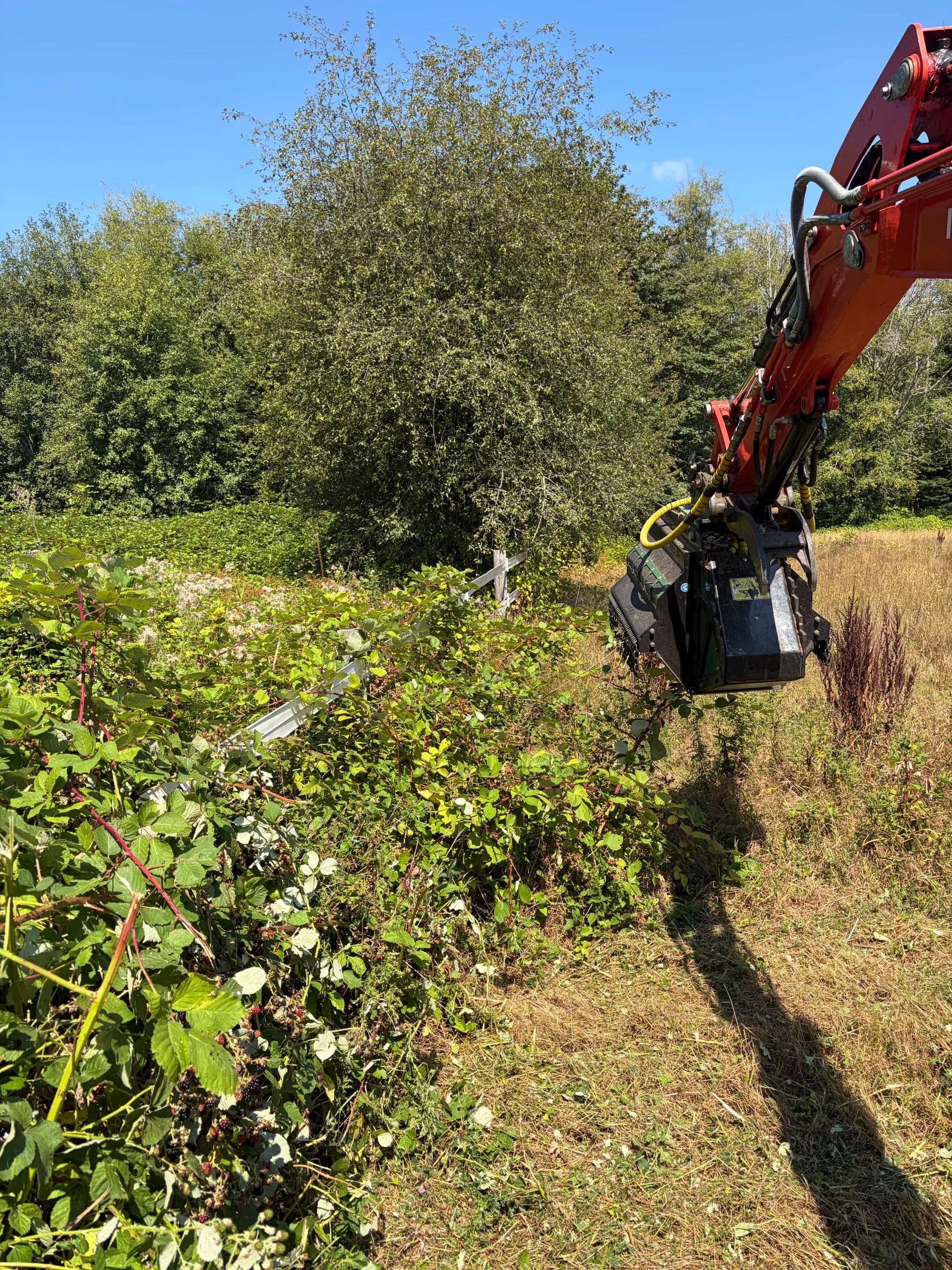 Gallery photos for Pasture Reclamation and Trail Clearing in Belfair WA: Image #2