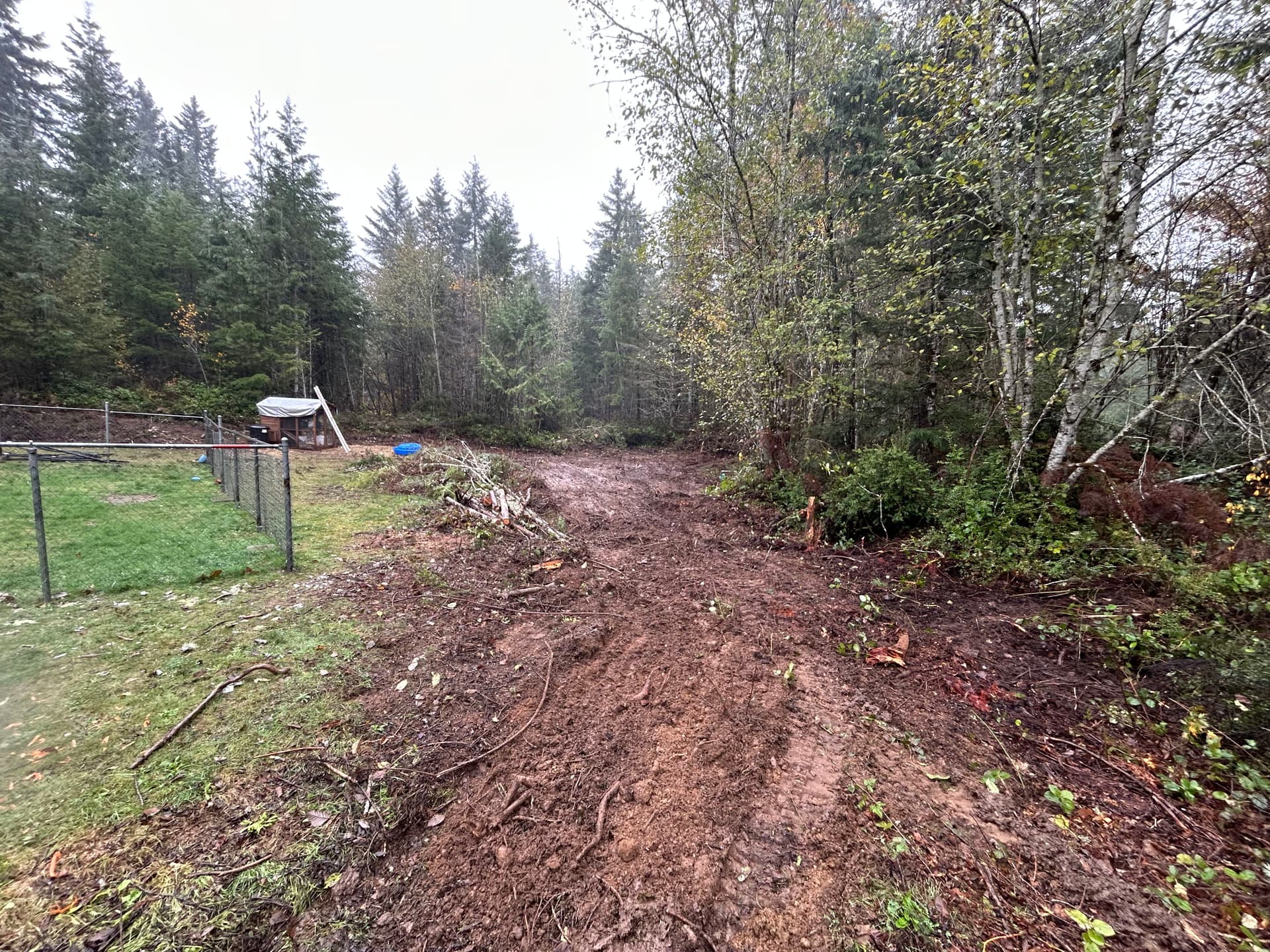 Backyard Brush Clearing in Seabeck WA