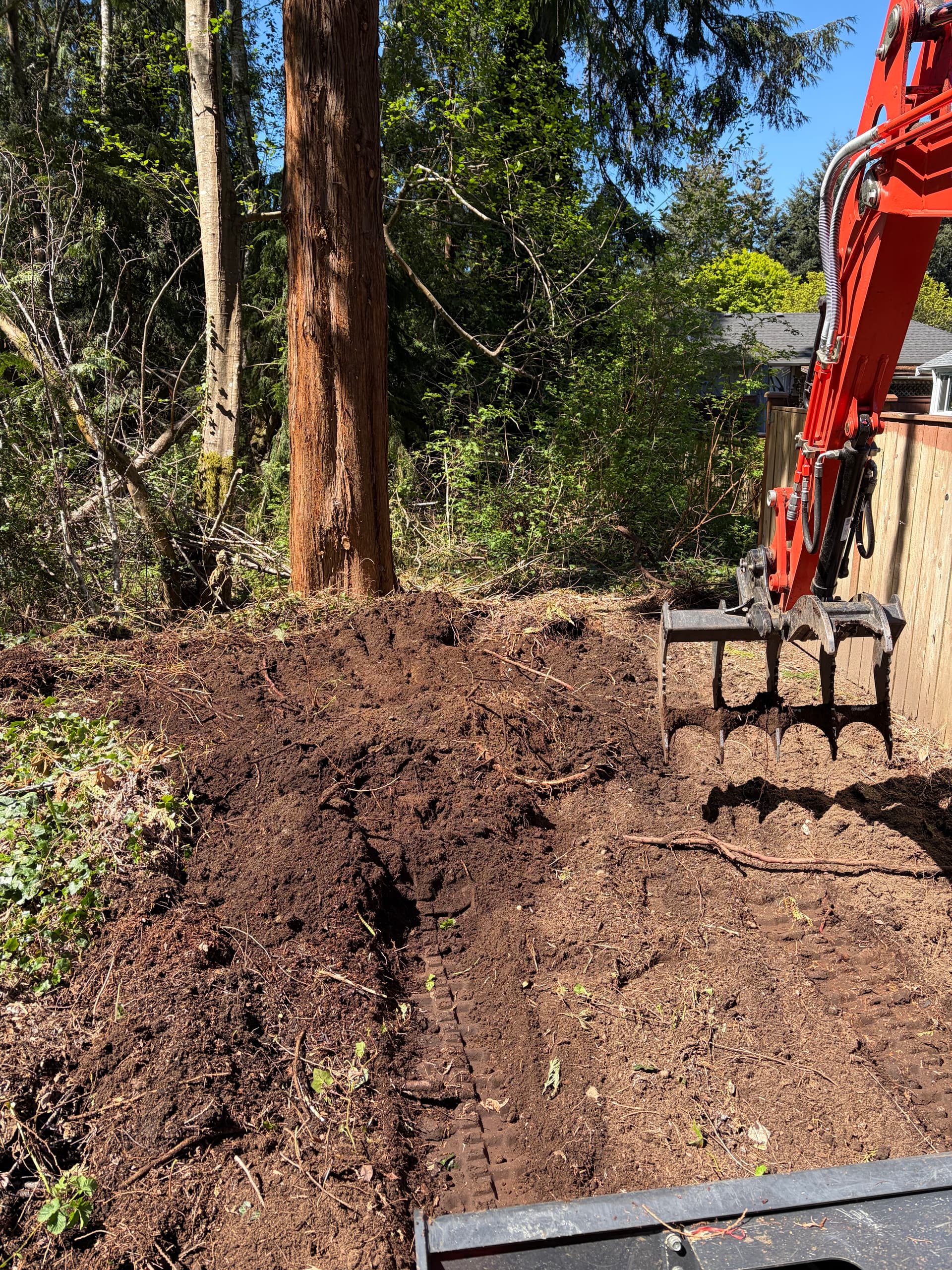 Gallery photos for Backyard Overgrowth Clearing and Space Expansion in Gig Harbor: Image #2