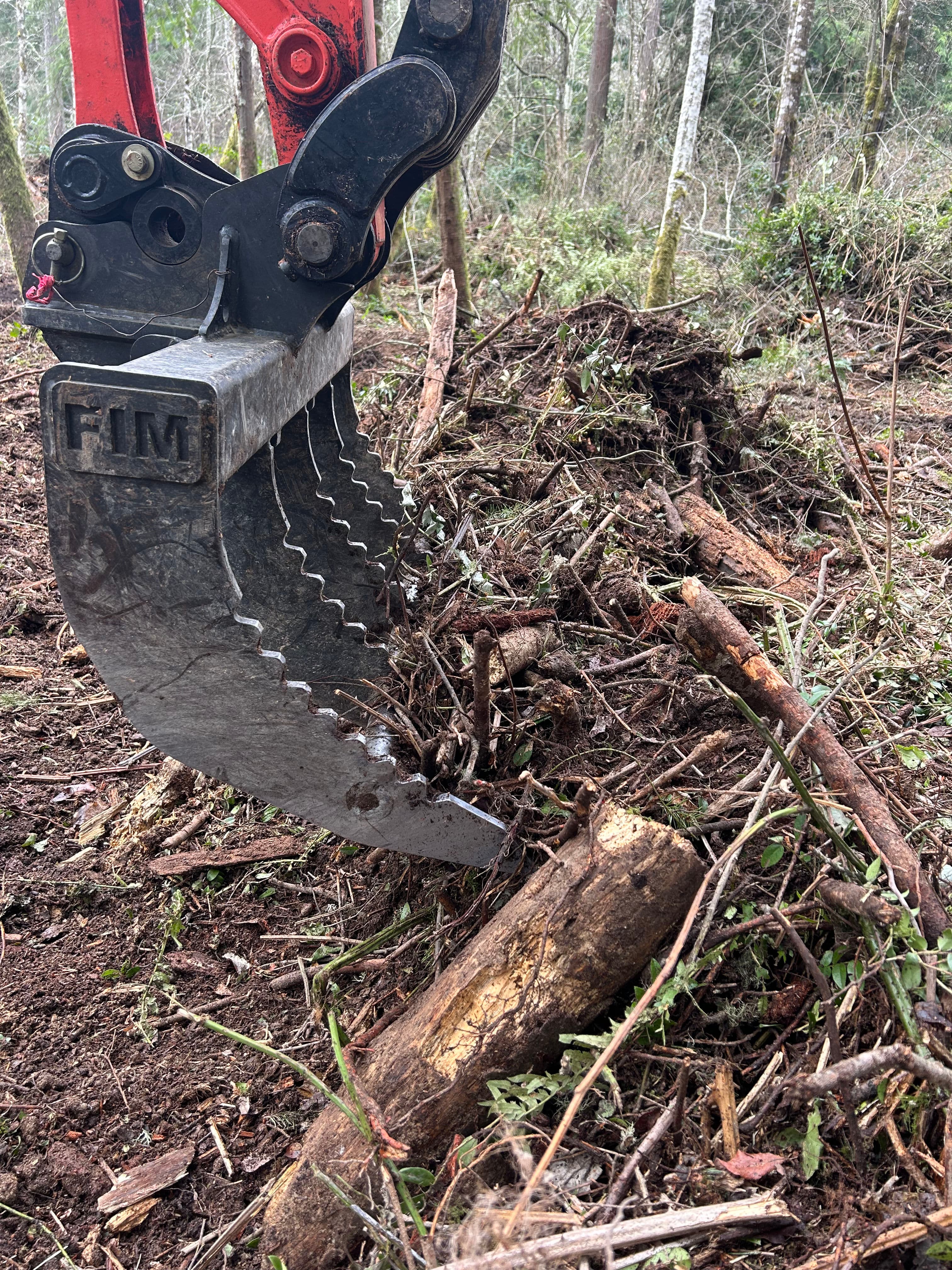 Project Land and Brush Clearing in Gig Harbor image