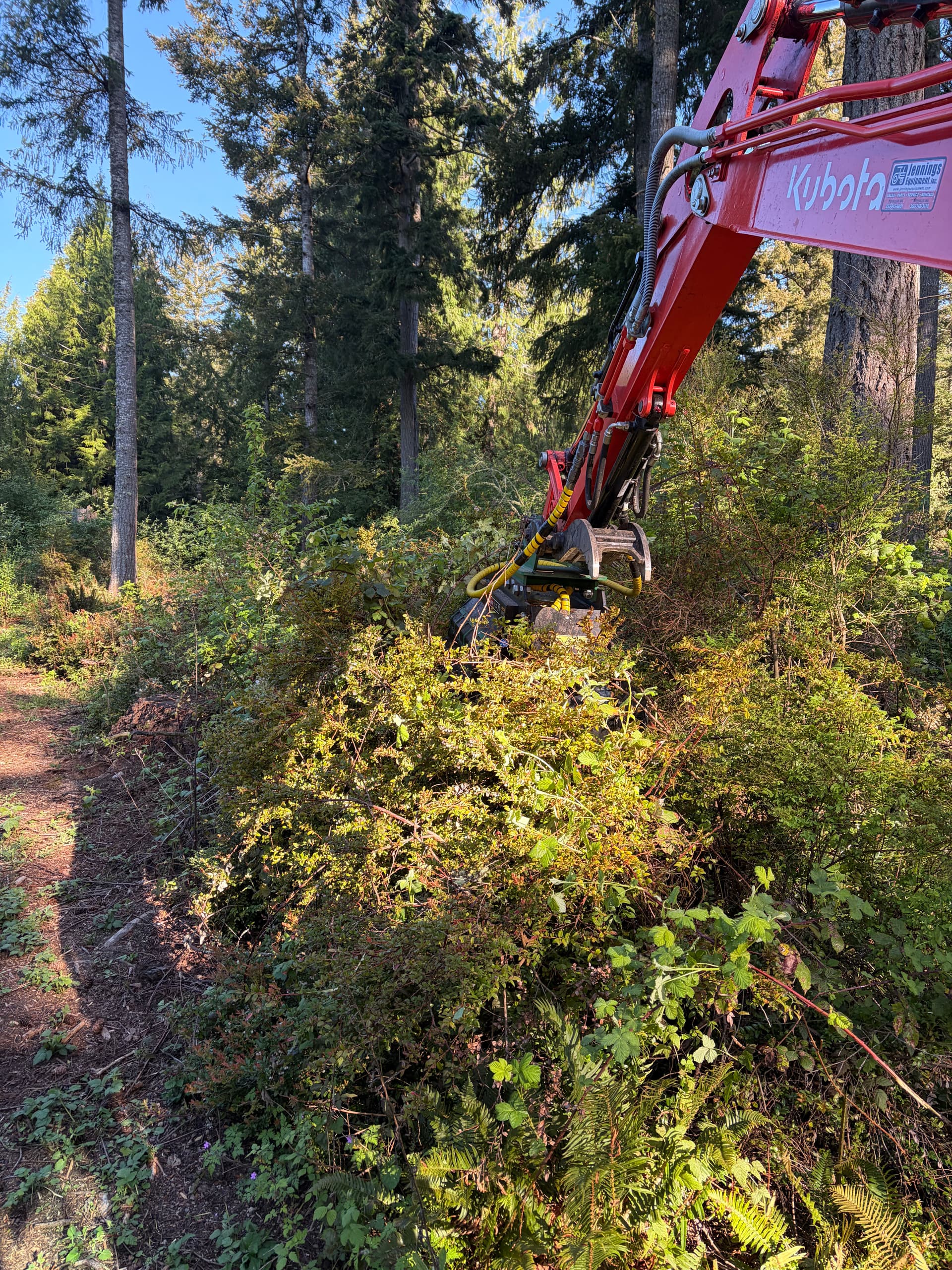Gallery photos for Overgrown Poulsbo Property Cleared Into Clean Usable Land: Image #4