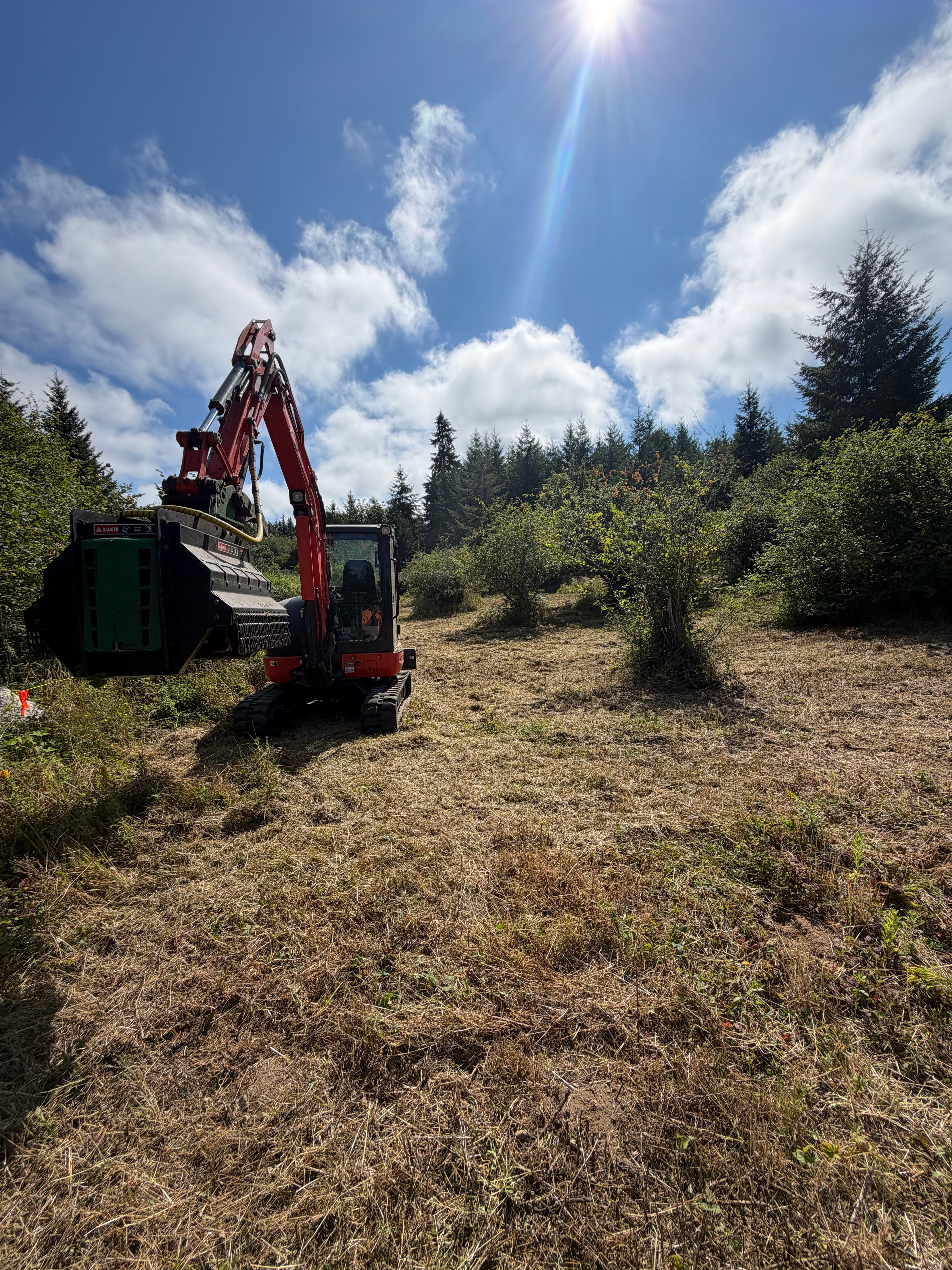 Project Pasture Reclamation and Brush Clearing in Yelm WA image