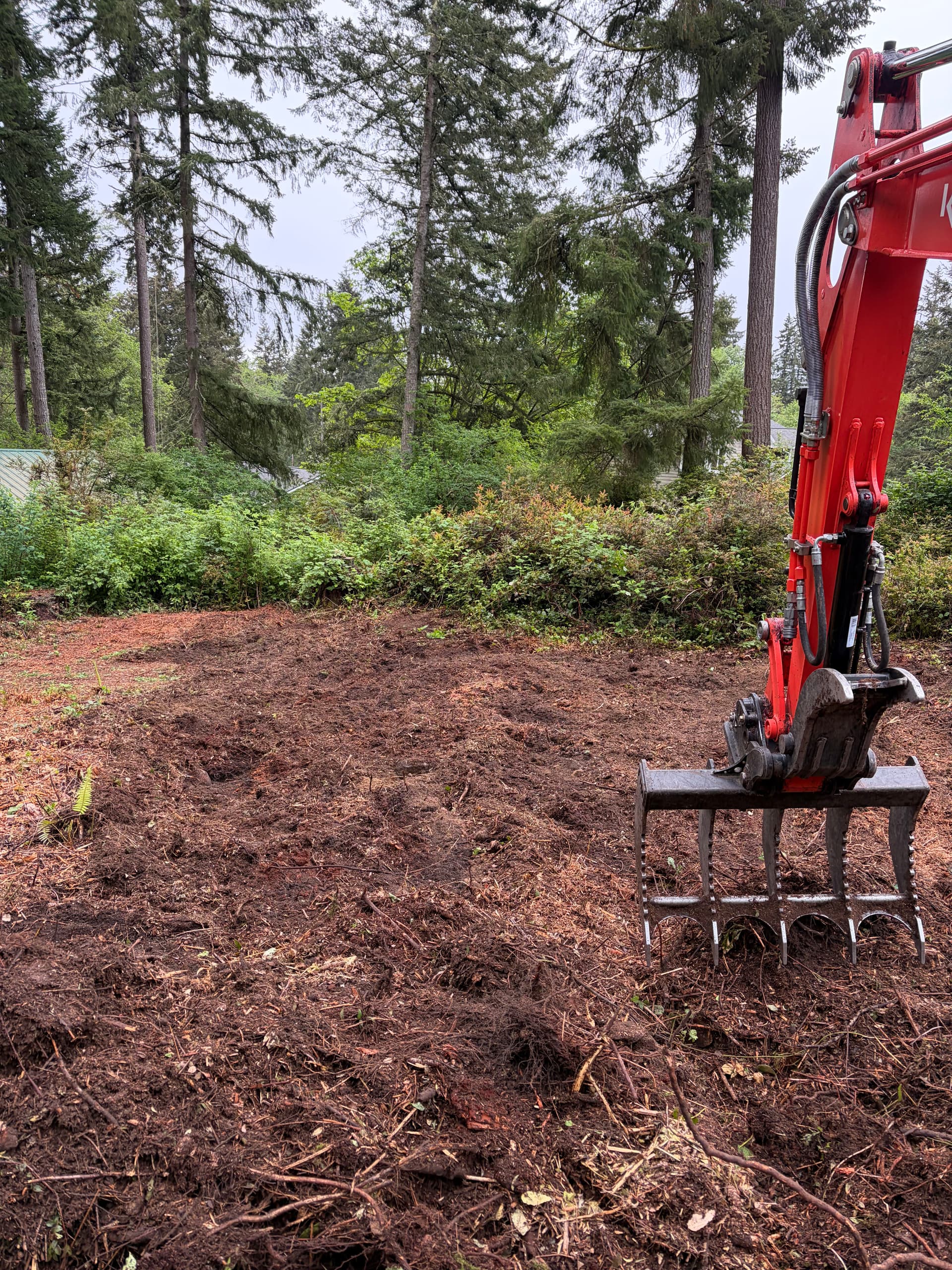 Gallery photos for Overgrown Poulsbo Property Cleared Into Clean Usable Land: Image #2