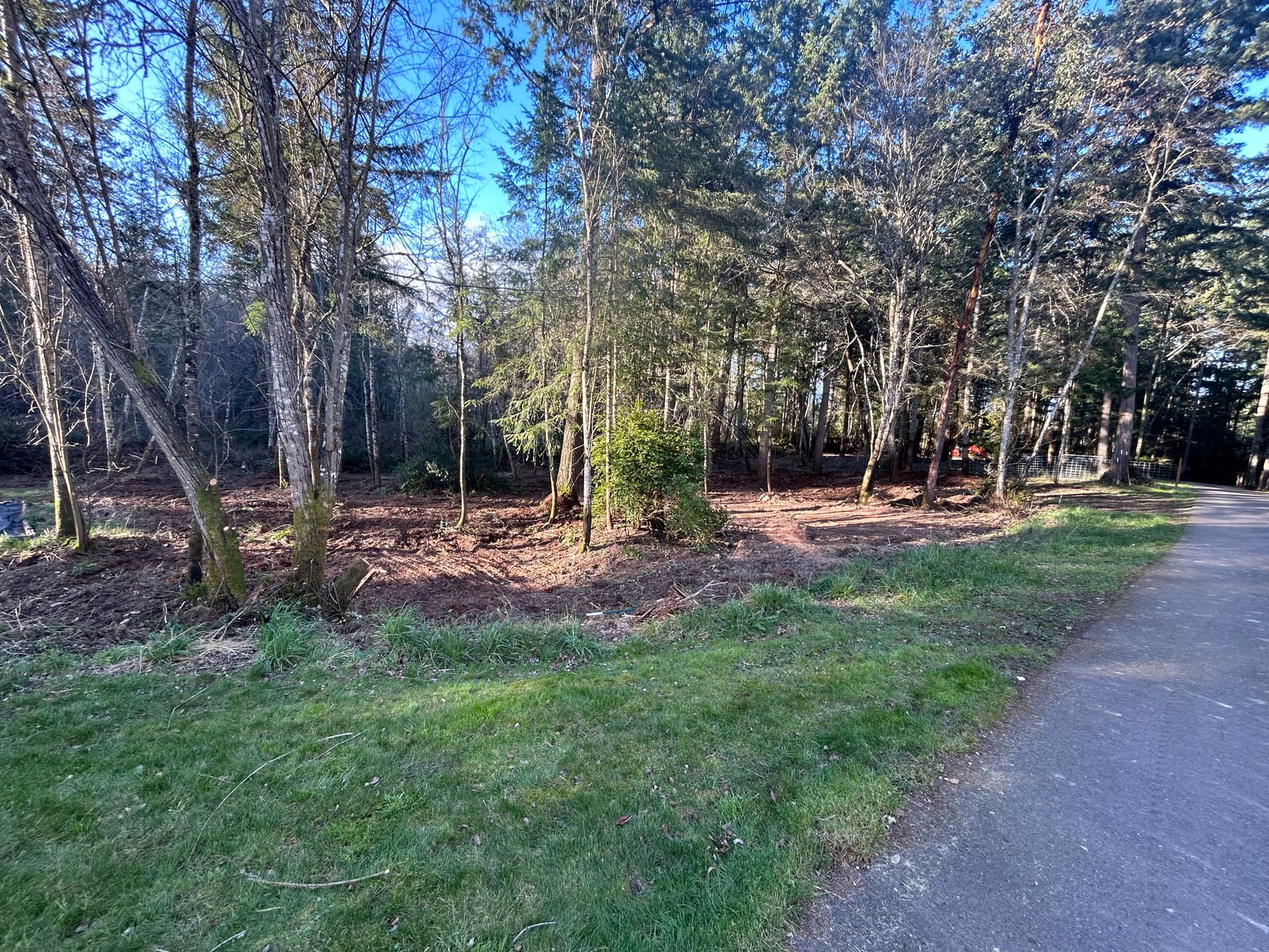 Gallery photos for Land and Brush Clearing in Gig Harbor: Image #1