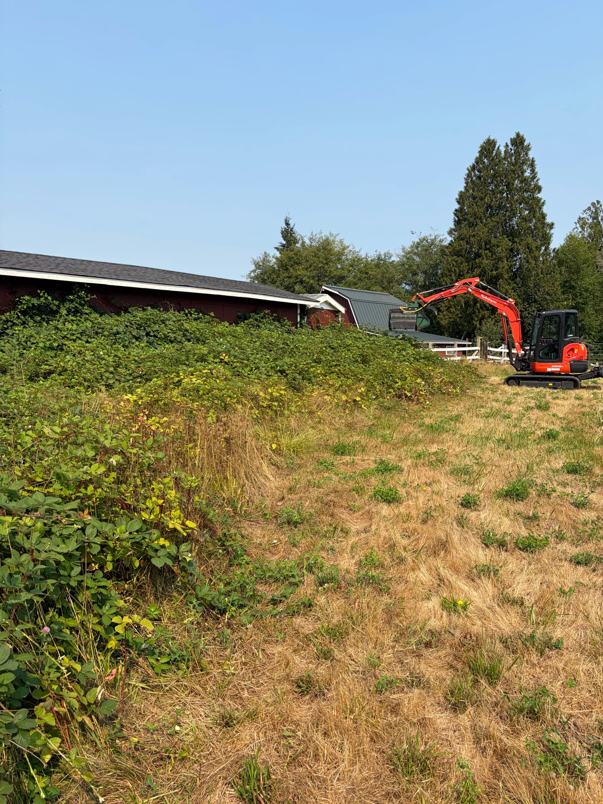 Gallery photos for Pasture Reclamation and Trail Clearing in Belfair WA: Image #5