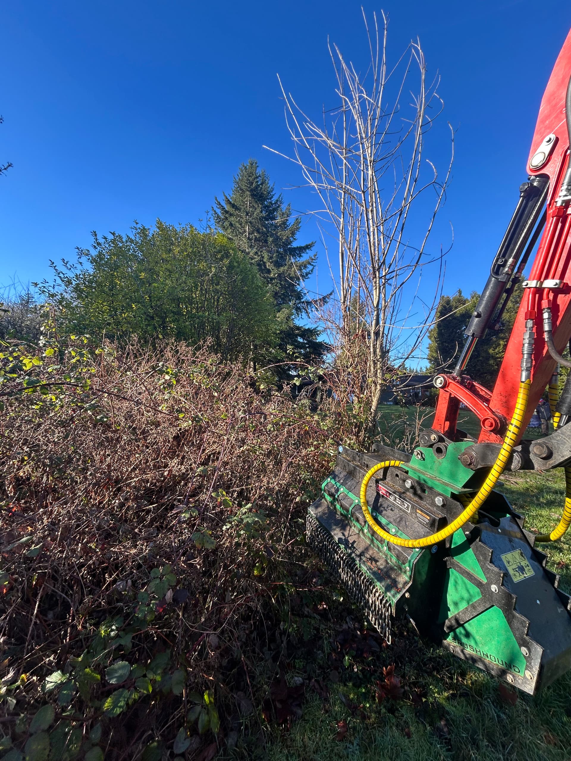 Gallery photos for Revamping Overgrown Spaces in Port Orchard: Image #3