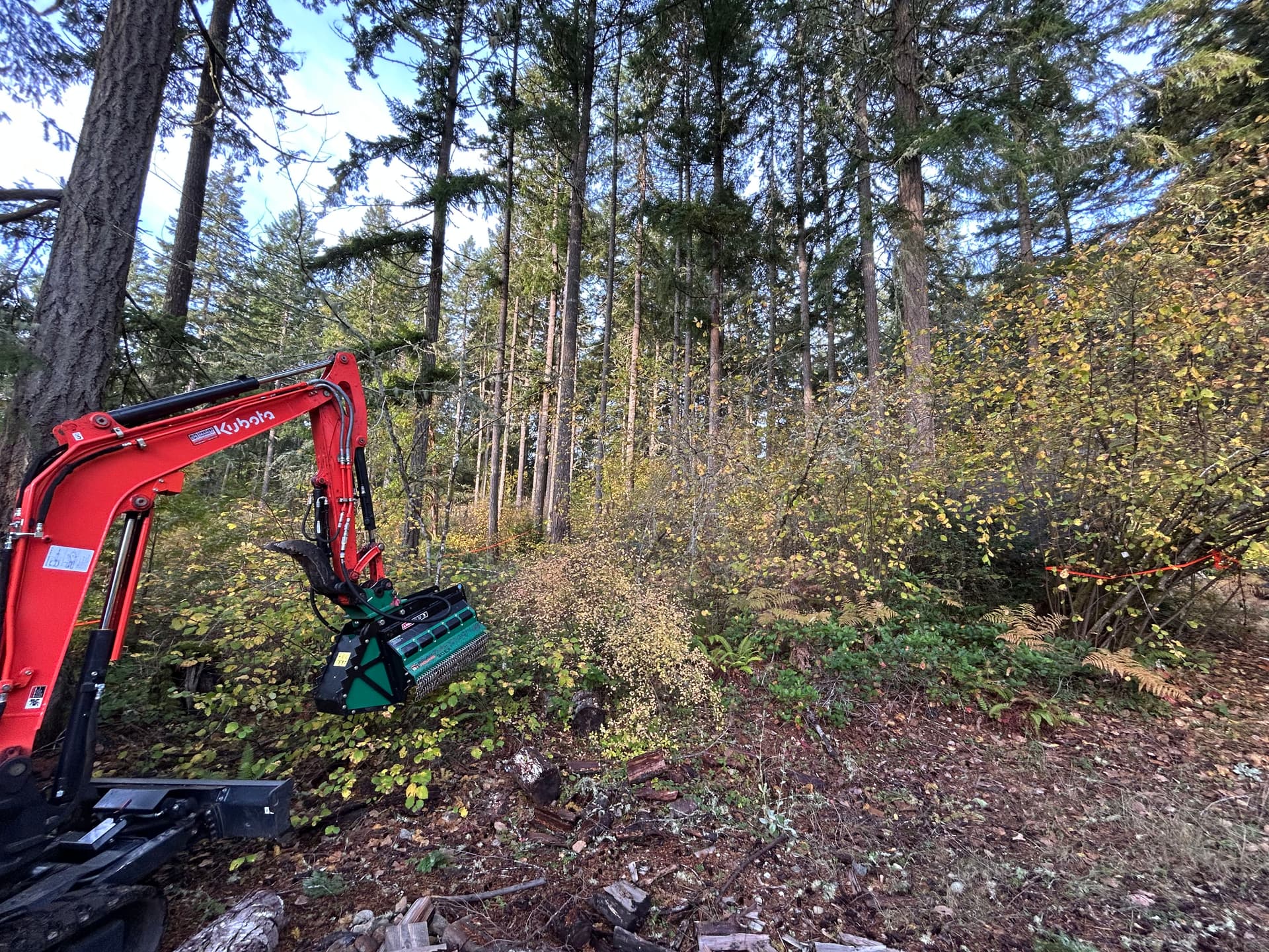 Gallery photos for Forestry Mulching and Brush Cleanup in Gig Harbor: Image #4