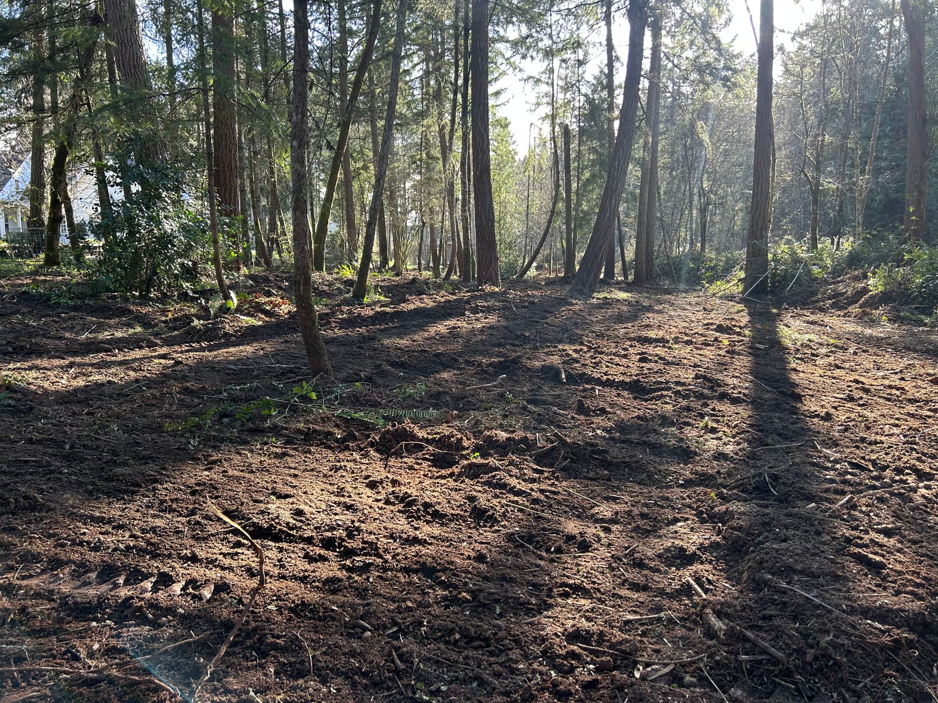 Gallery photos for Land and Brush Clearing in Gig Harbor: Image #4