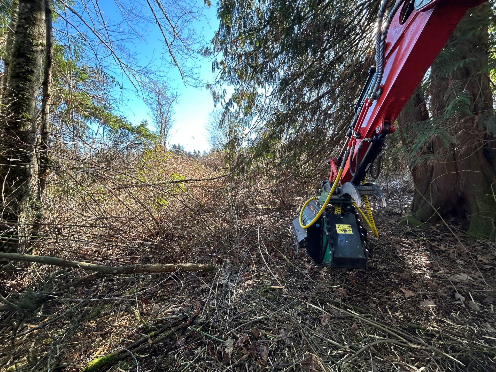 Transforming Overgrown Land into Usable Space in Graham, WA