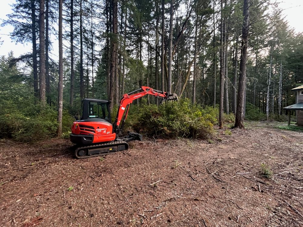 Mini excavator clearing brush in a forested area beside a cabin.