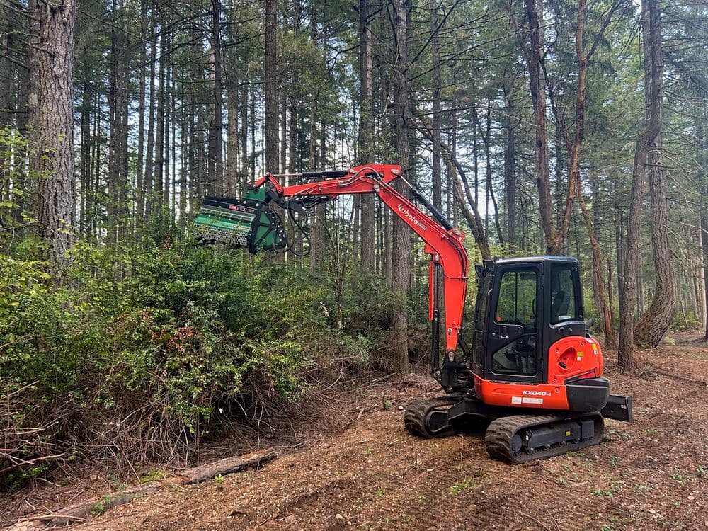 Compact excavator in forest clearing brush for land management and maintenance.