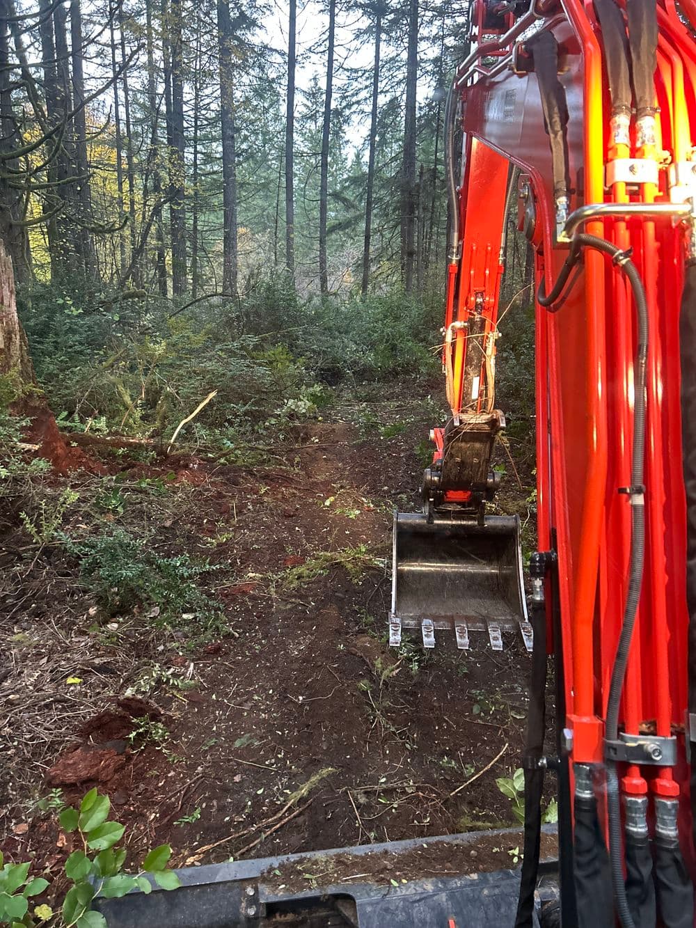 Excavator in a forest clearing, ready for land clearing and construction work.