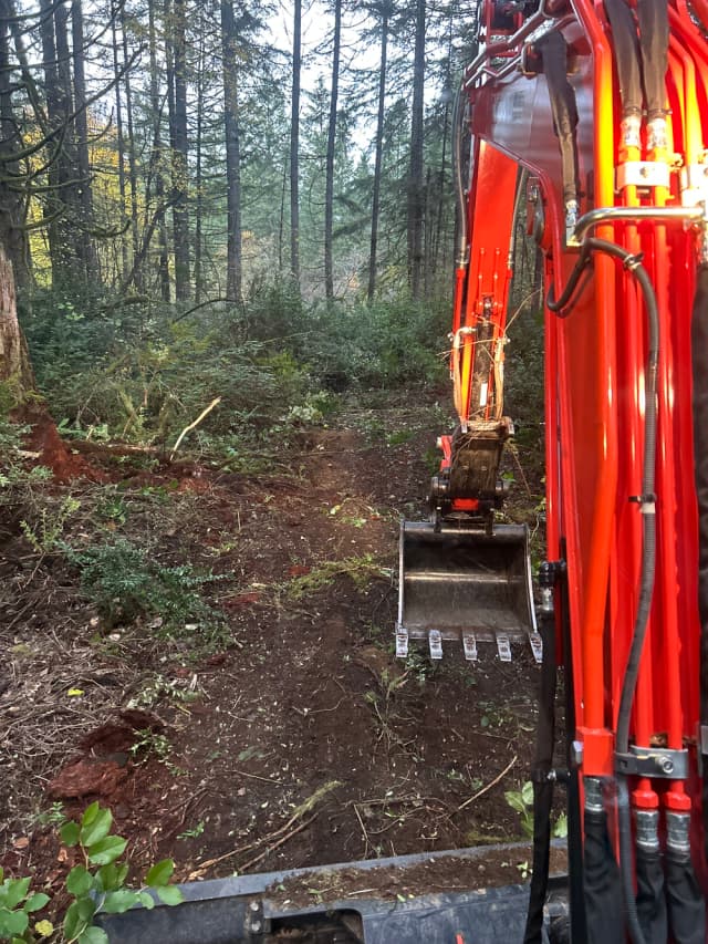 Firewise & Defensible Space Clearing | Harbor Earthworks