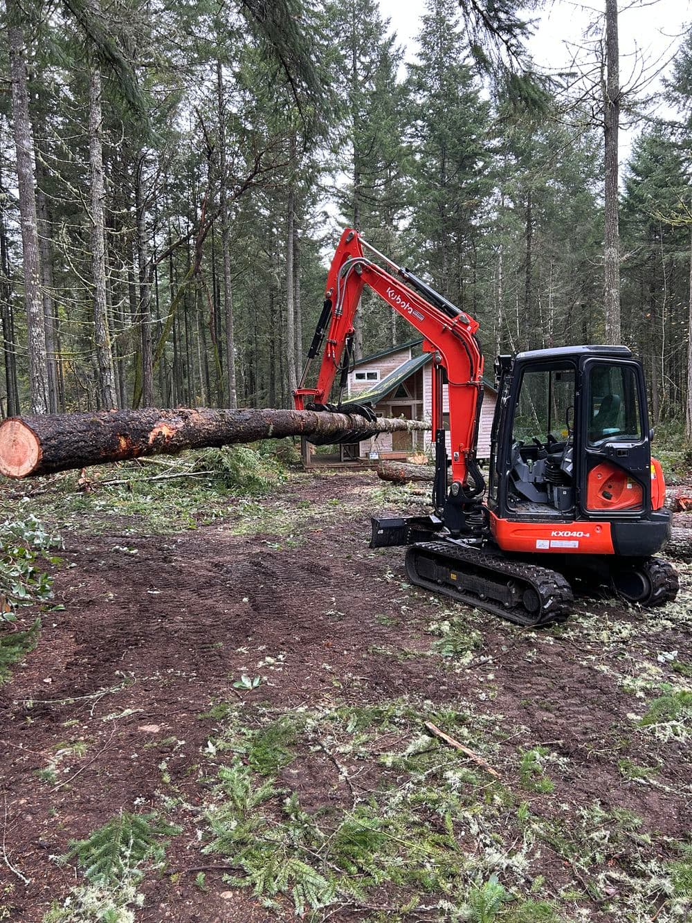 Excavator lifting a log in a forested area with trees and a cabin in the background.