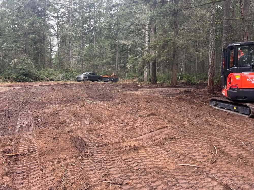 Cleared forest area with heavy machinery and a truck in a wooded landscape.