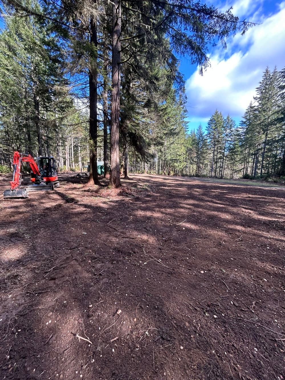 Cleared forest area with a red excavator and tall trees under a blue sky.