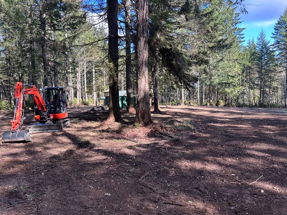 Excavator clearing land in a forested area with trees and a building in the background.