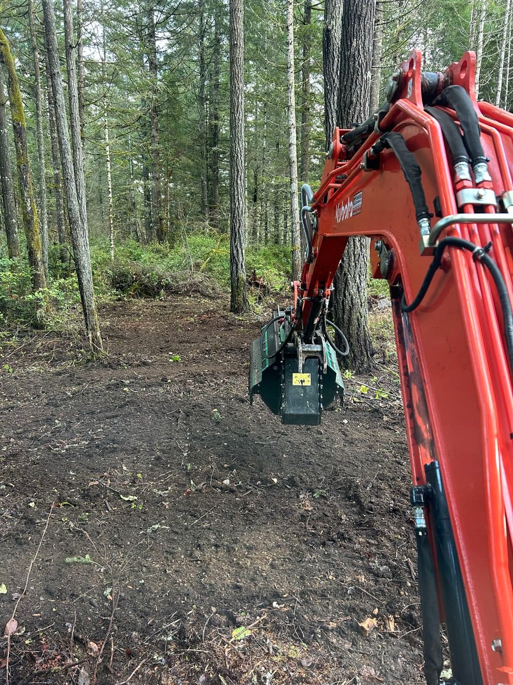Excavator in a forest preparing ground for construction among tall trees.