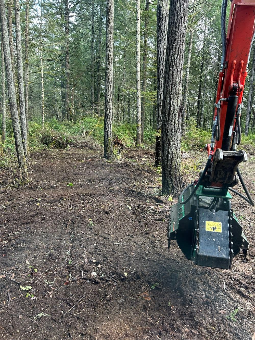 Excavator clearing forest ground with trees in background in woodland area.
