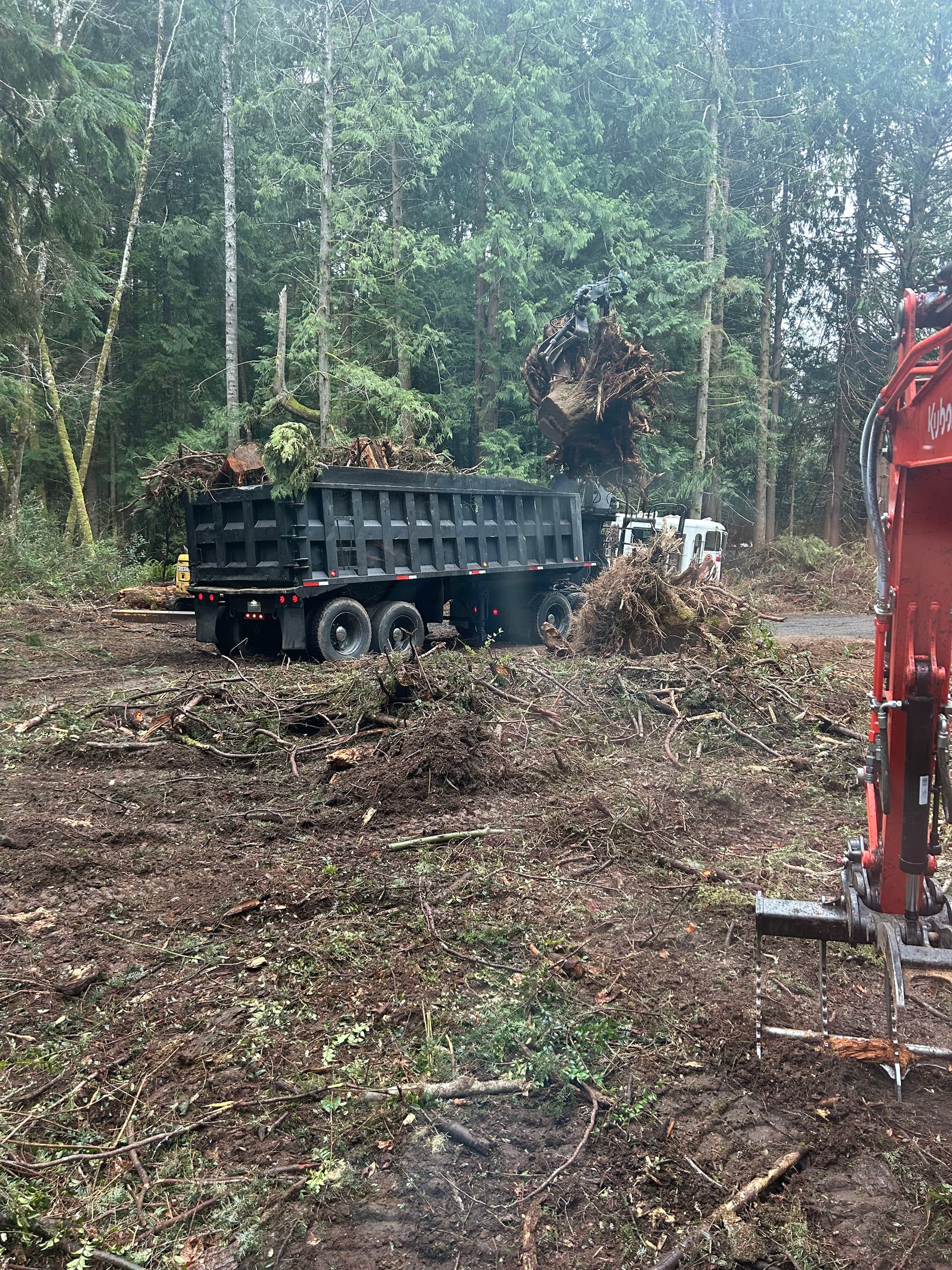 Efficient Land Clearing in Gig Harbor image