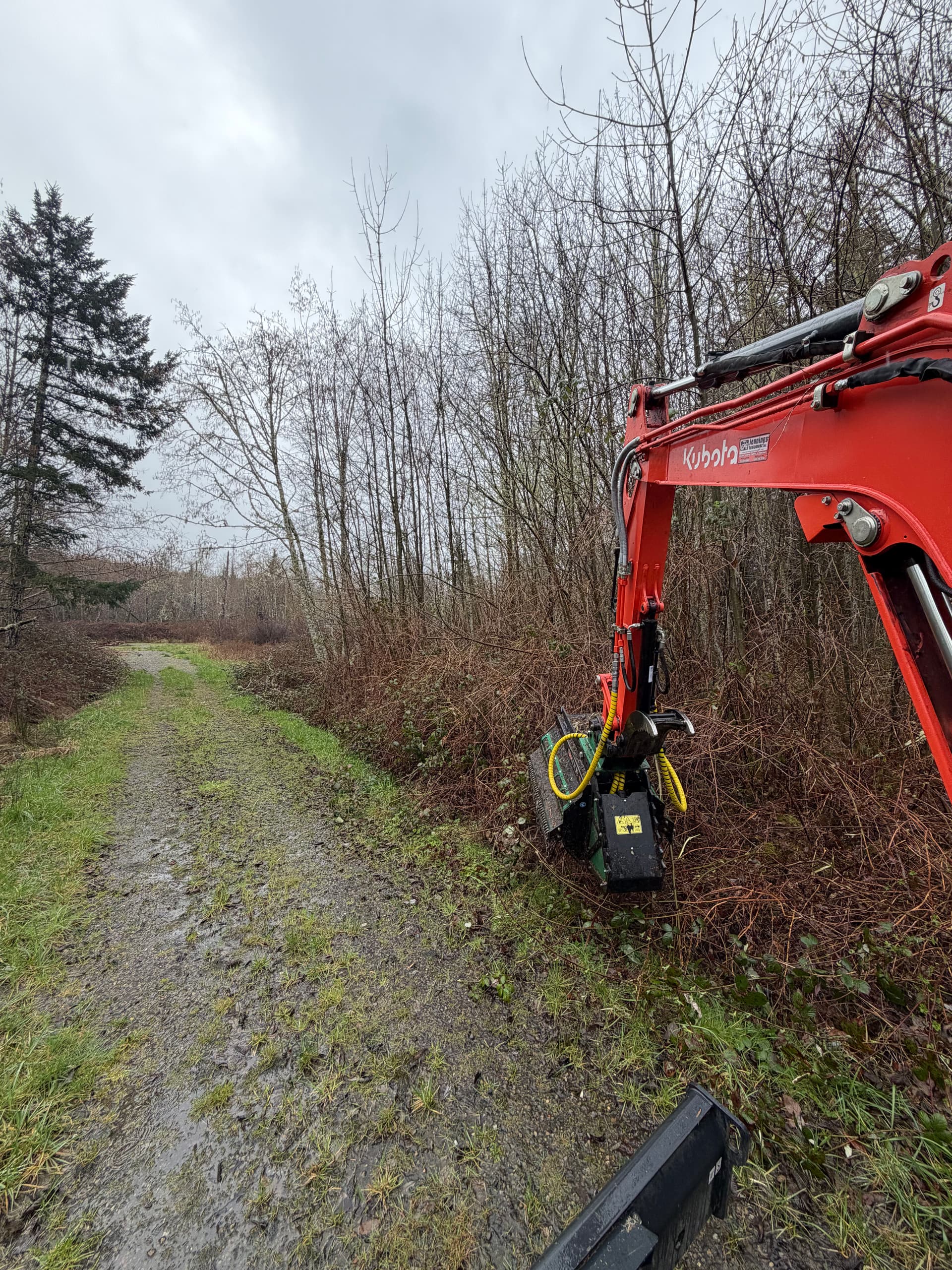 Gallery photos for Efficient Land Clearing in Gig Harbor with Our Kubota: Image #3