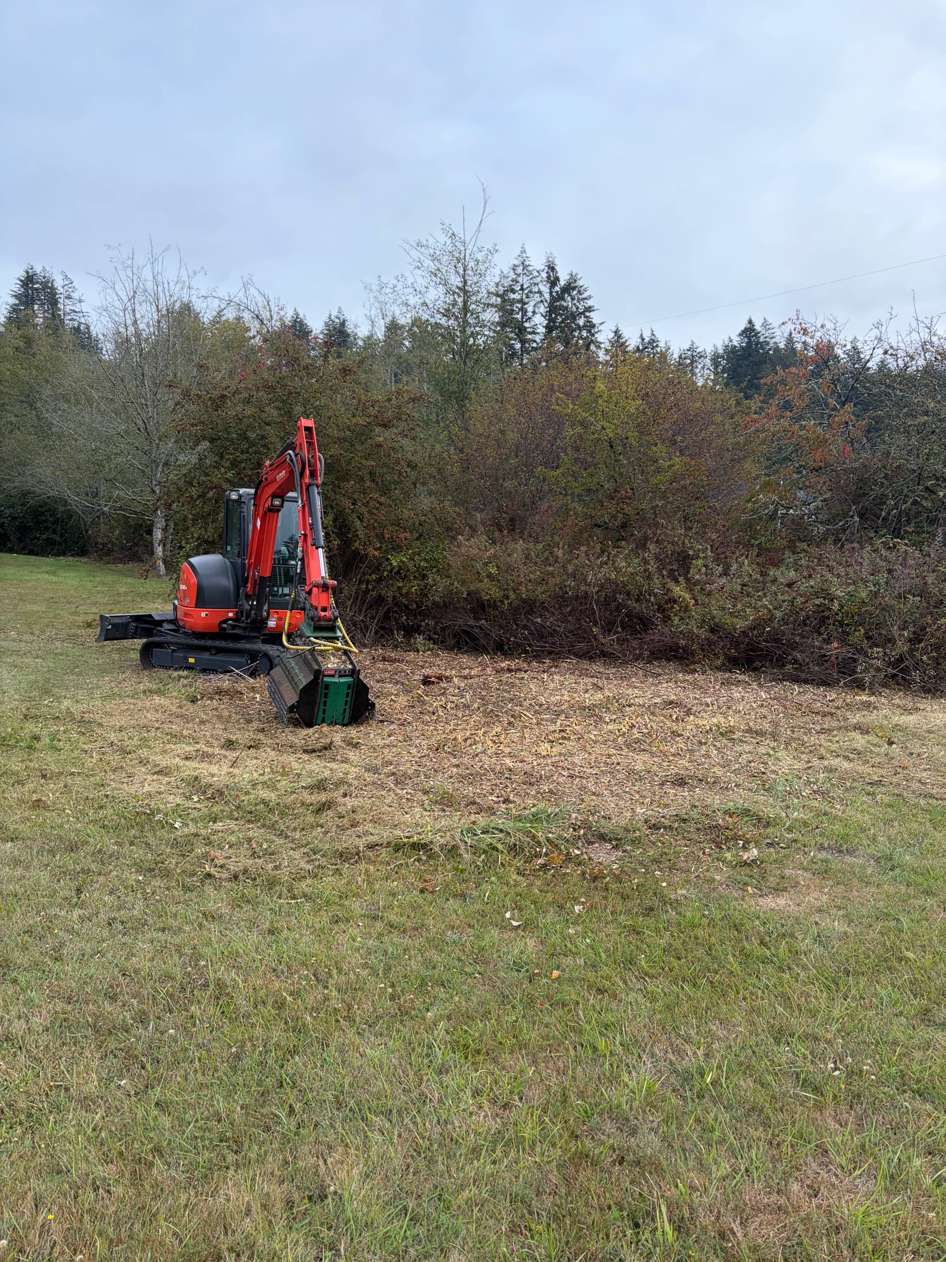Gallery photos for Brush Clearing and Trail Cutting on an Olalla Property: Image #4