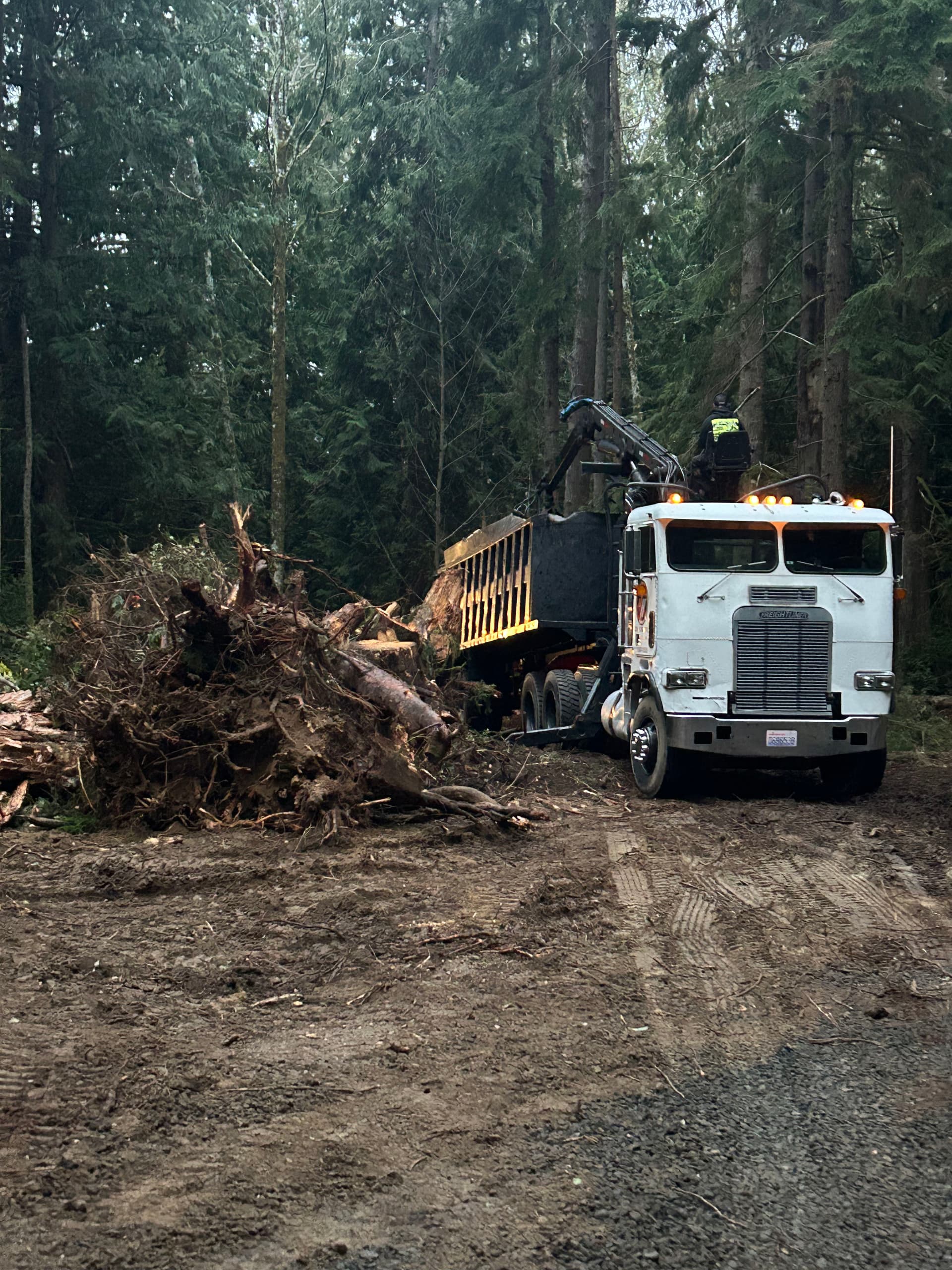 Gallery photos for Efficient Land Clearing in Gig Harbor: Image #1