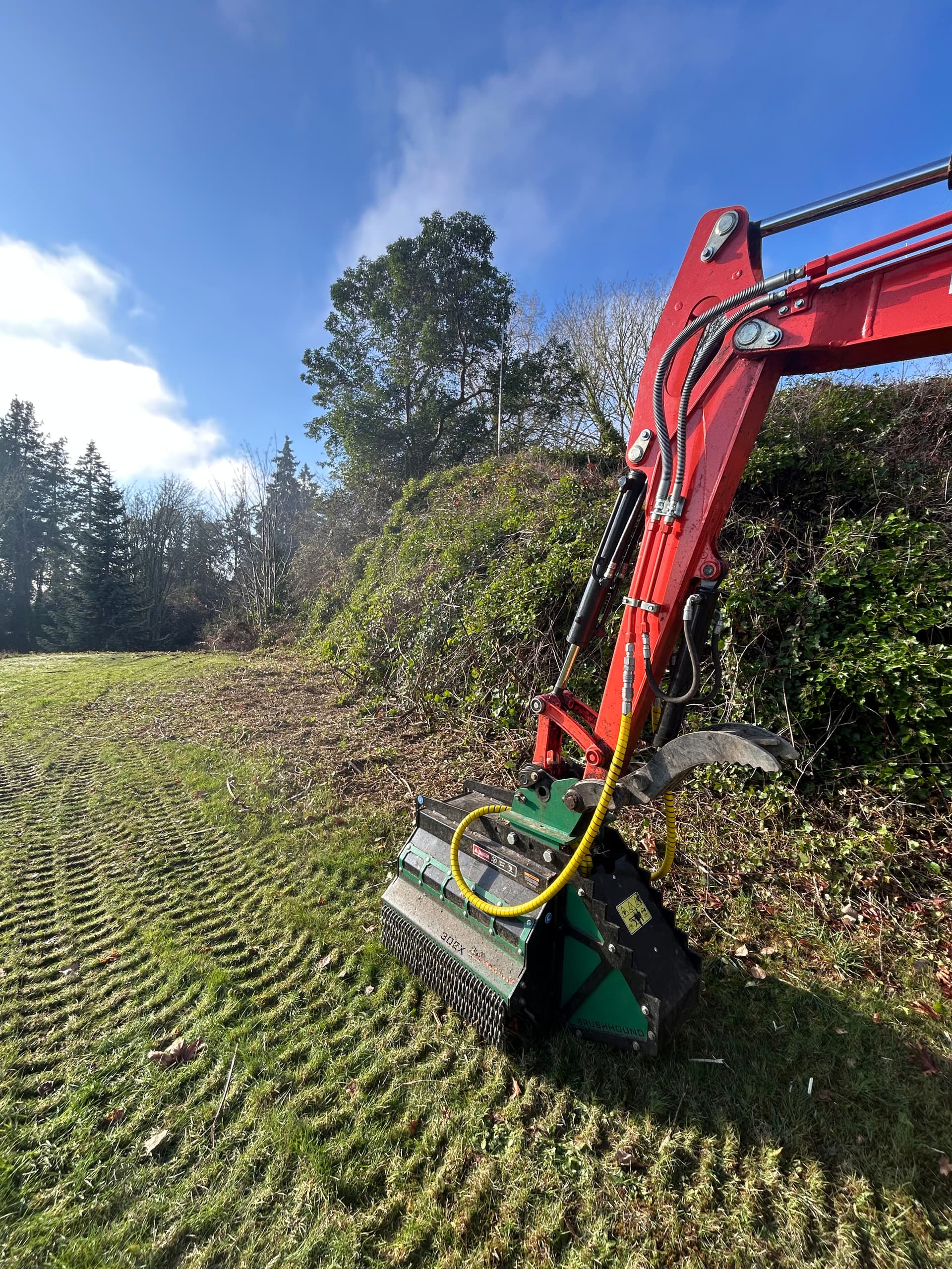 Gallery photos for Mulching Blackberry Bushes in Bremerton WA: Image #1