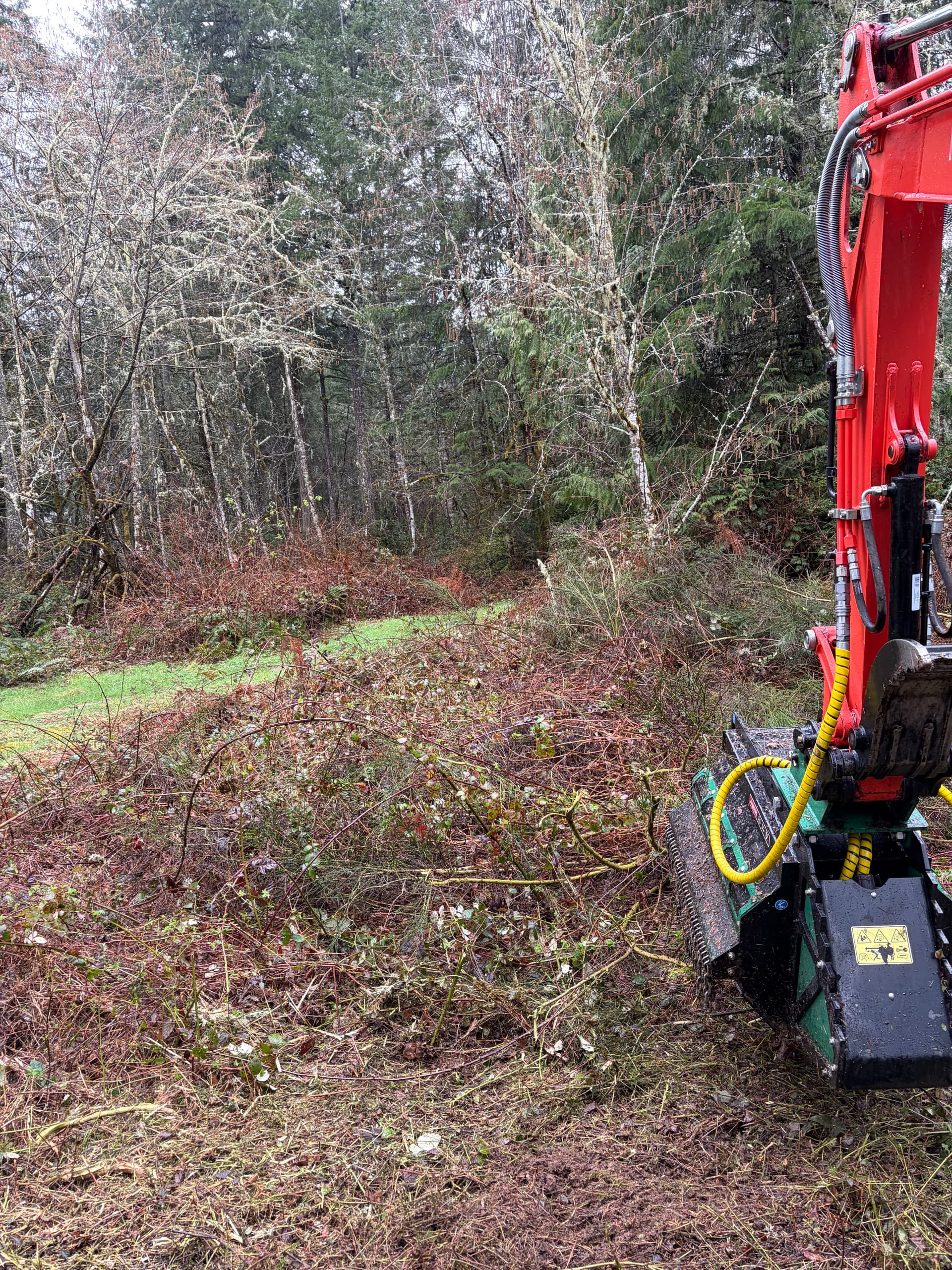 Efficient Land Clearing in Gig Harbor with Our Kubota image