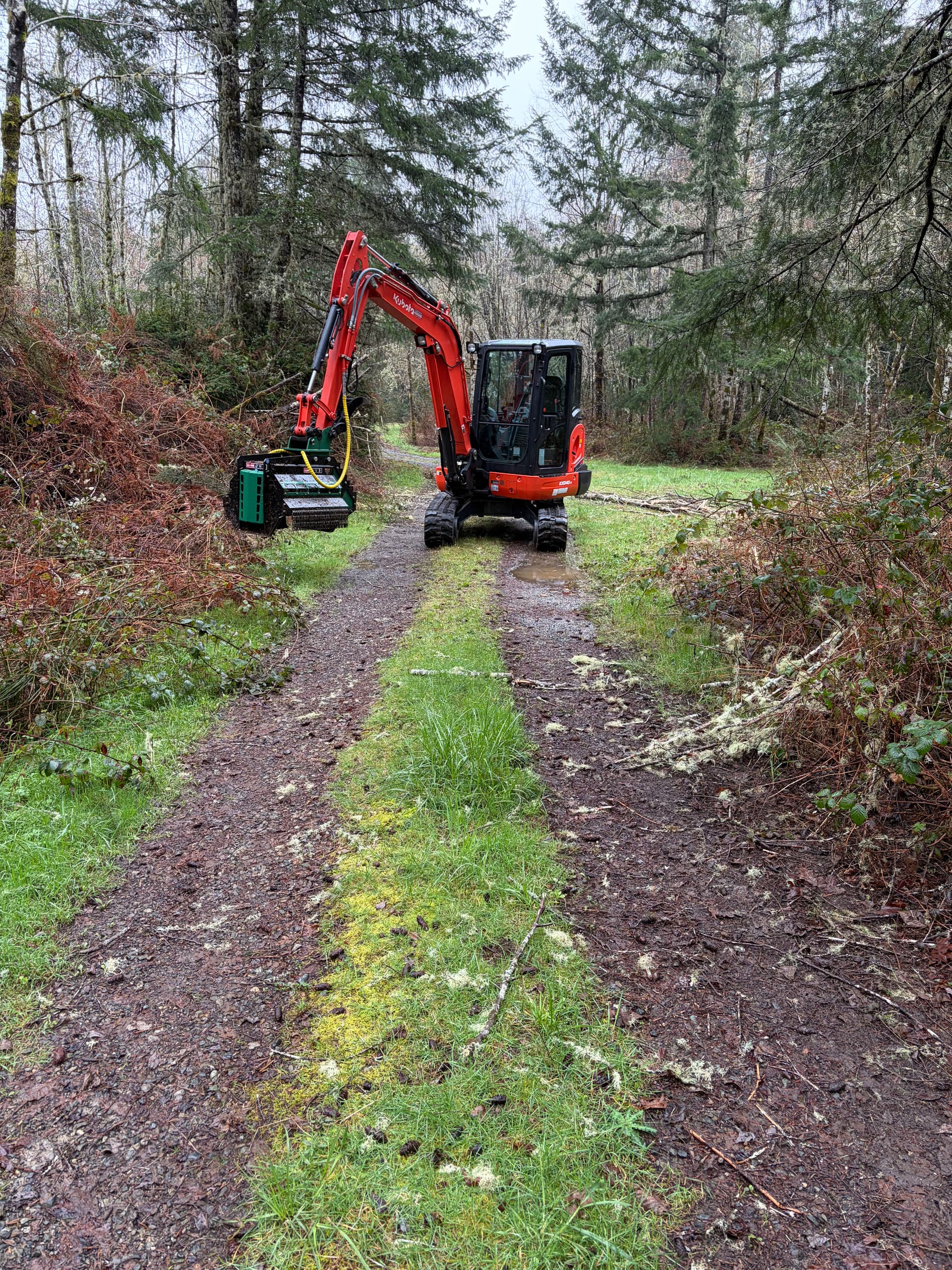 Gallery photos for Efficient Land Clearing in Gig Harbor with Our Kubota: Image #4
