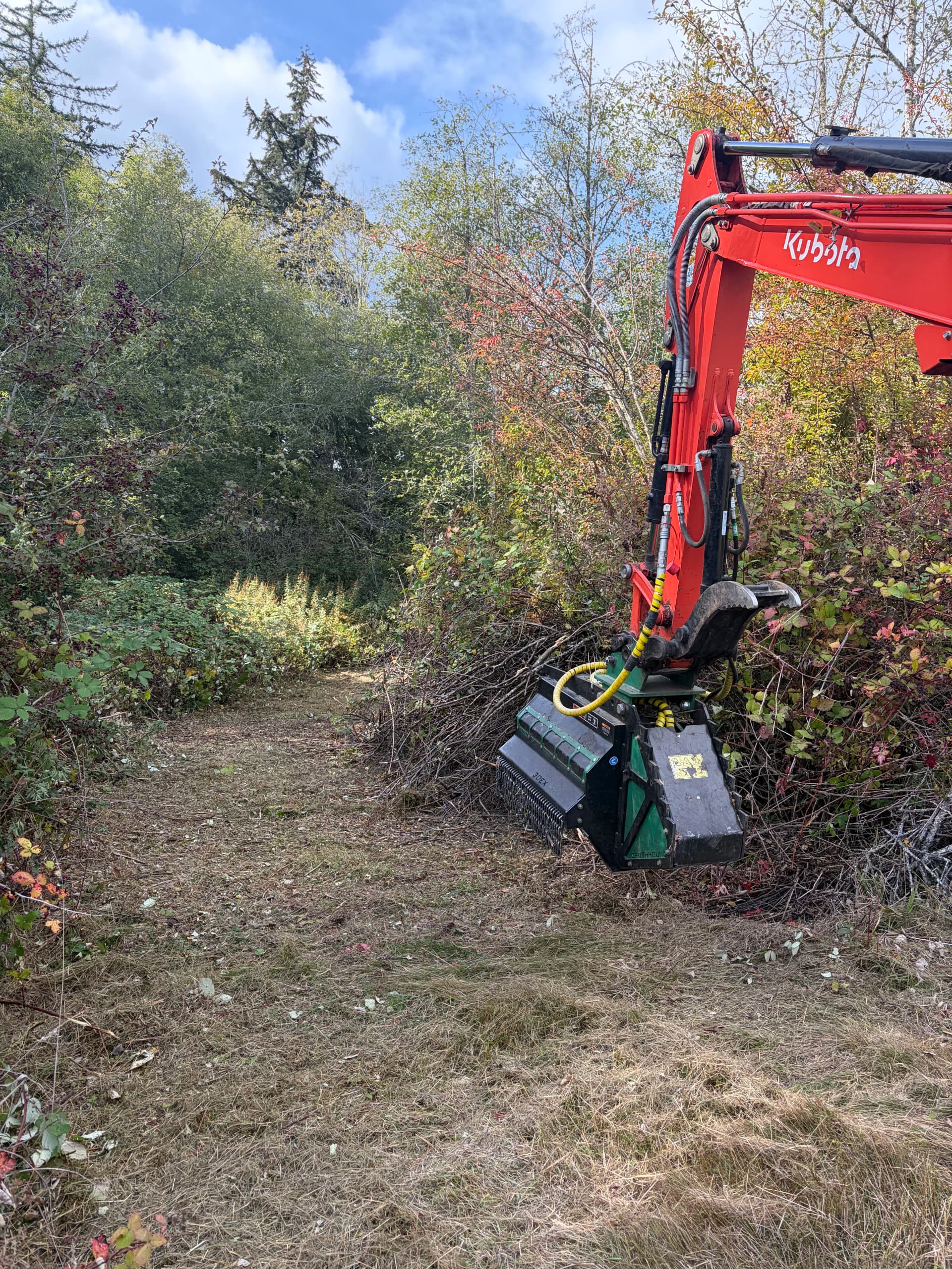 Gallery photos for Brush Clearing and Trail Cutting on an Olalla Property: Image #2