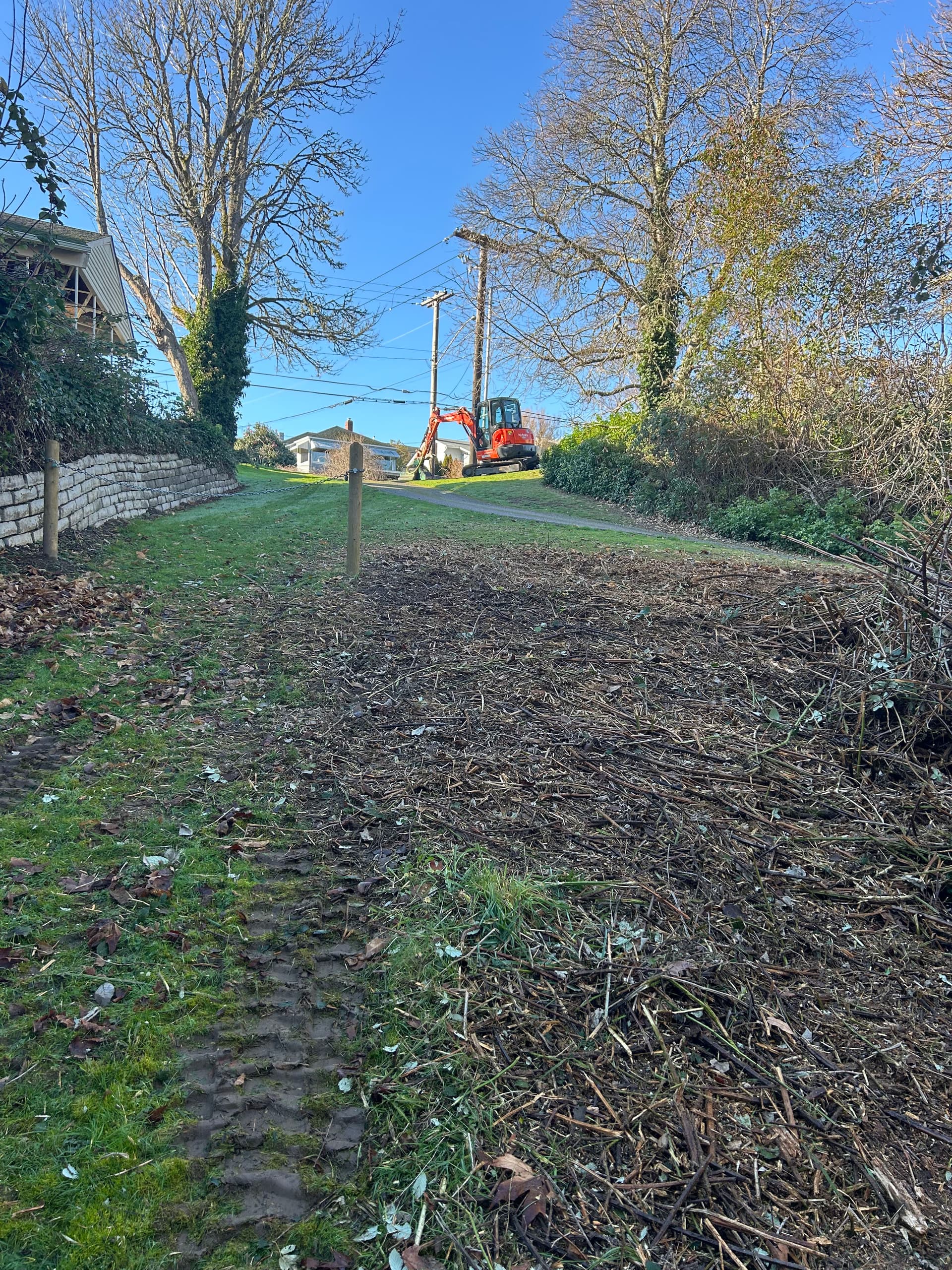 Gallery photos for Mulching Blackberry Bushes in Bremerton WA: Image #7