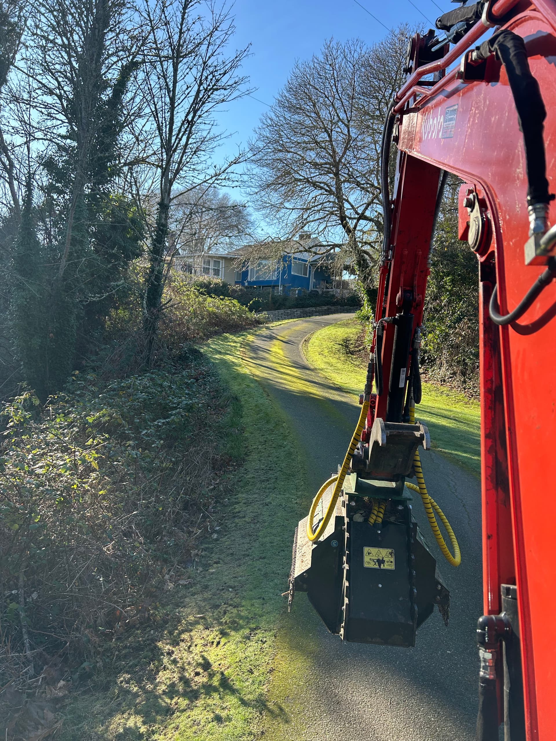 Gallery photos for Mulching Blackberry Bushes in Bremerton WA: Image #5