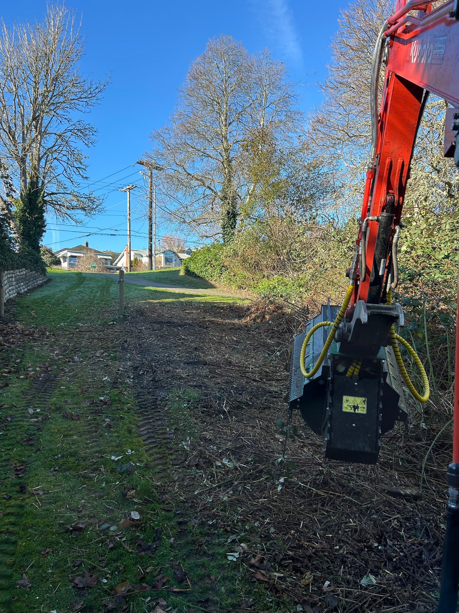 Gallery photos for Mulching Blackberry Bushes in Bremerton WA: Image #4