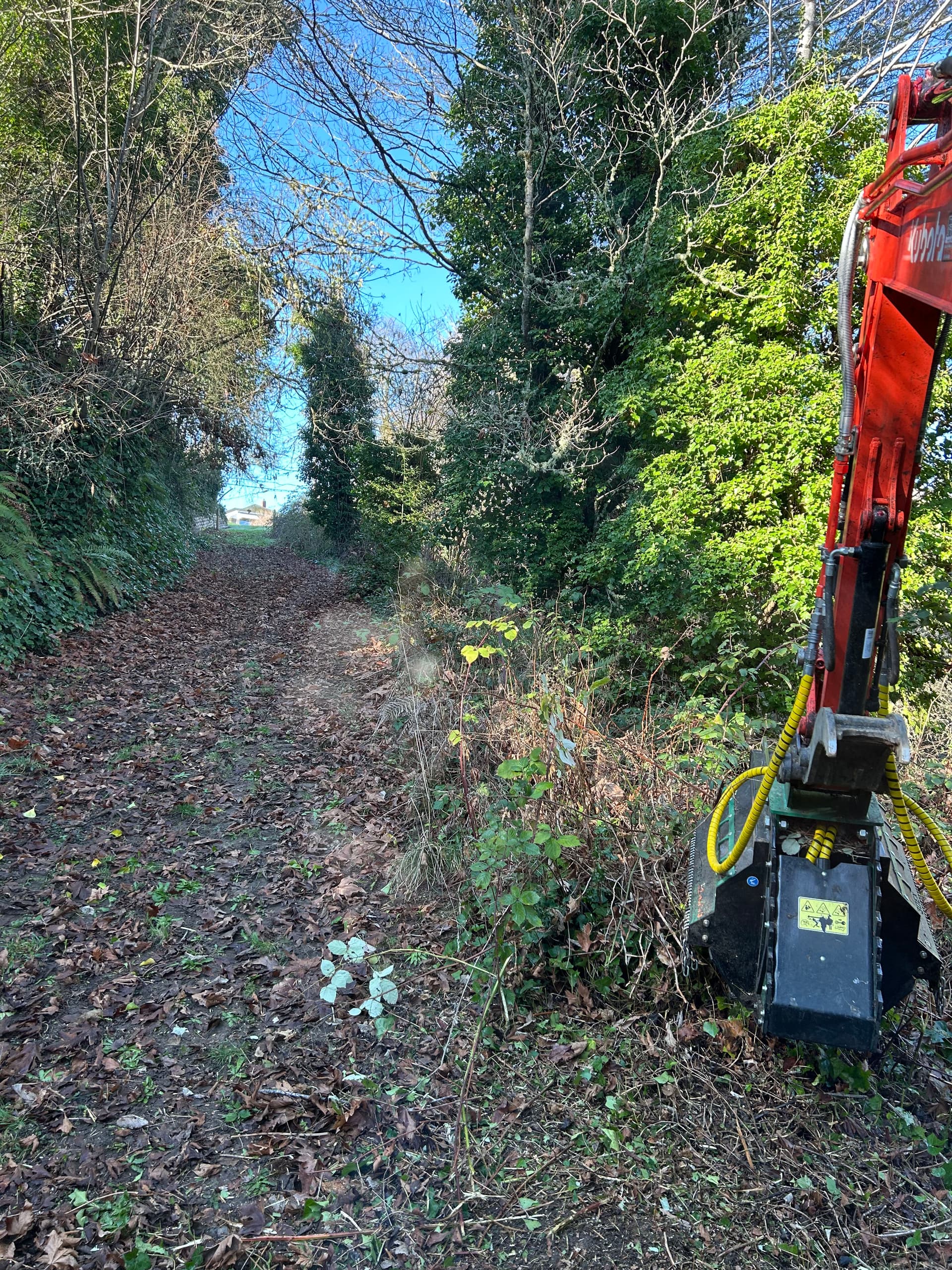 Gallery photos for Mulching Blackberry Bushes in Bremerton WA: Image #3