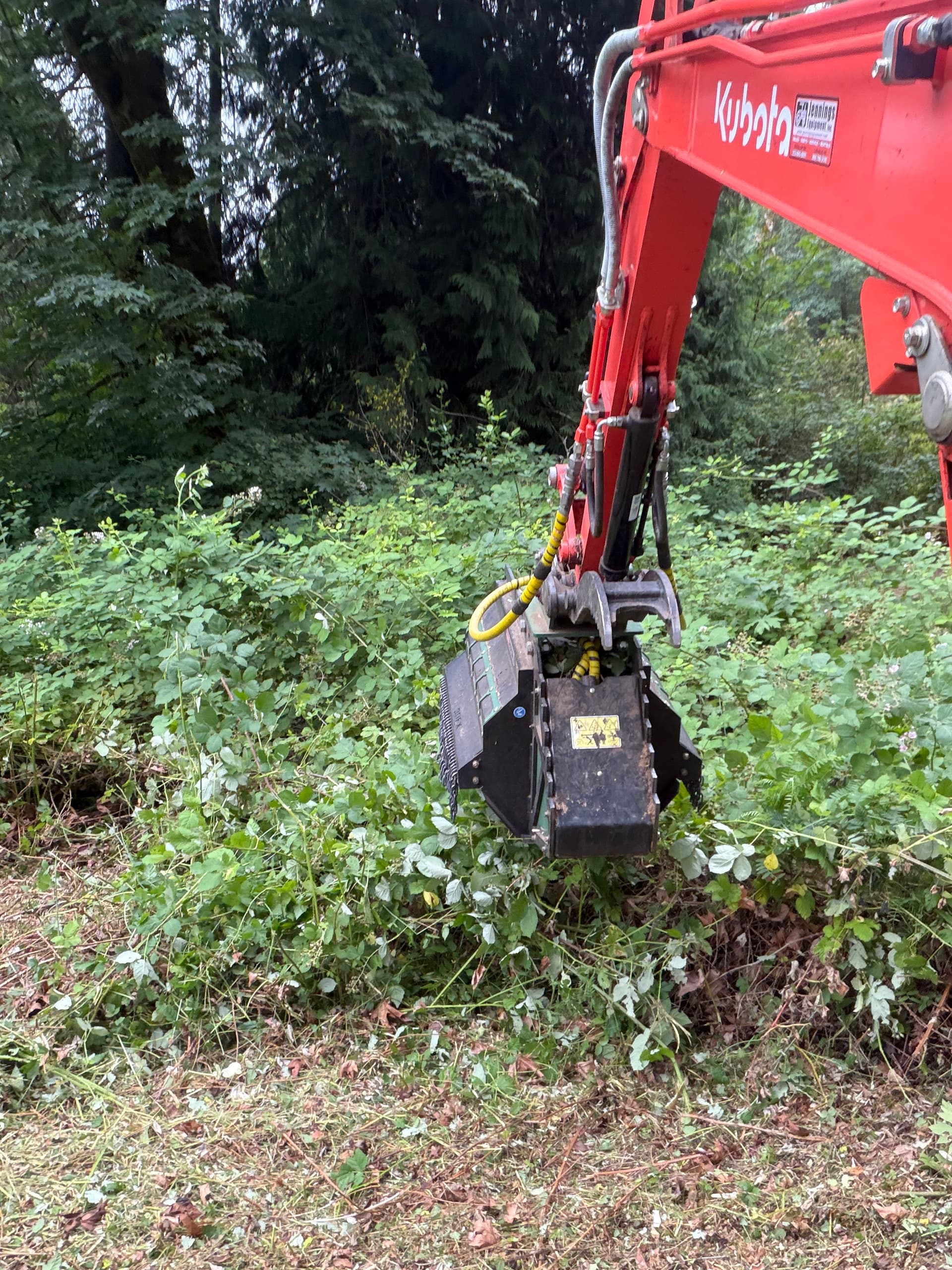 Gallery photos for Overgrown Olympia Property Cleared and Reclaimed With Forestry Mulching: Image #3