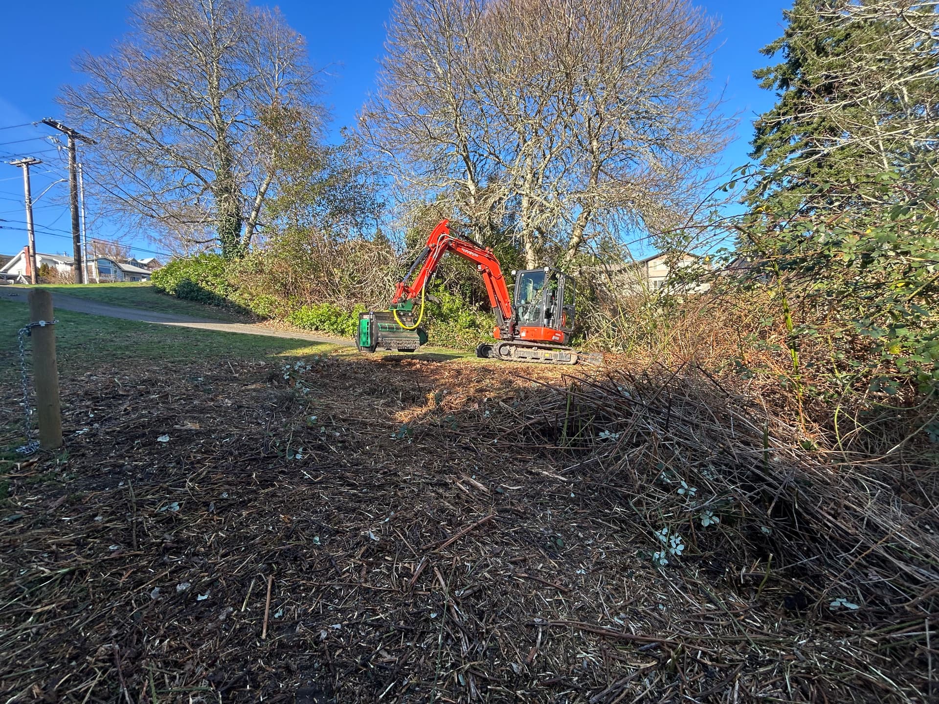 Gallery photos for Mulching Blackberry Bushes in Bremerton WA: Image #6