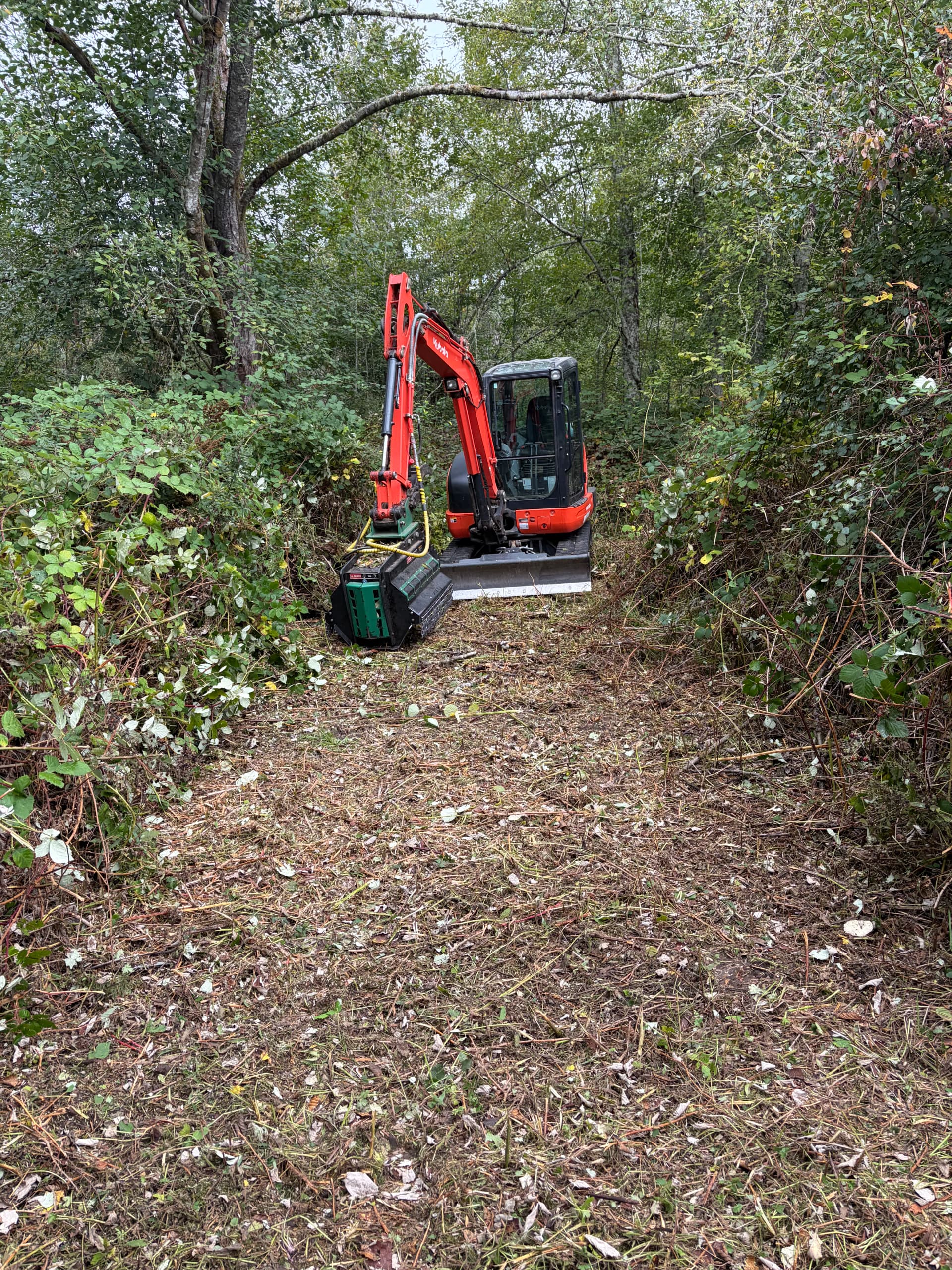 Gallery photos for Brush Clearing and Trail Cutting on an Olalla Property: Image #5